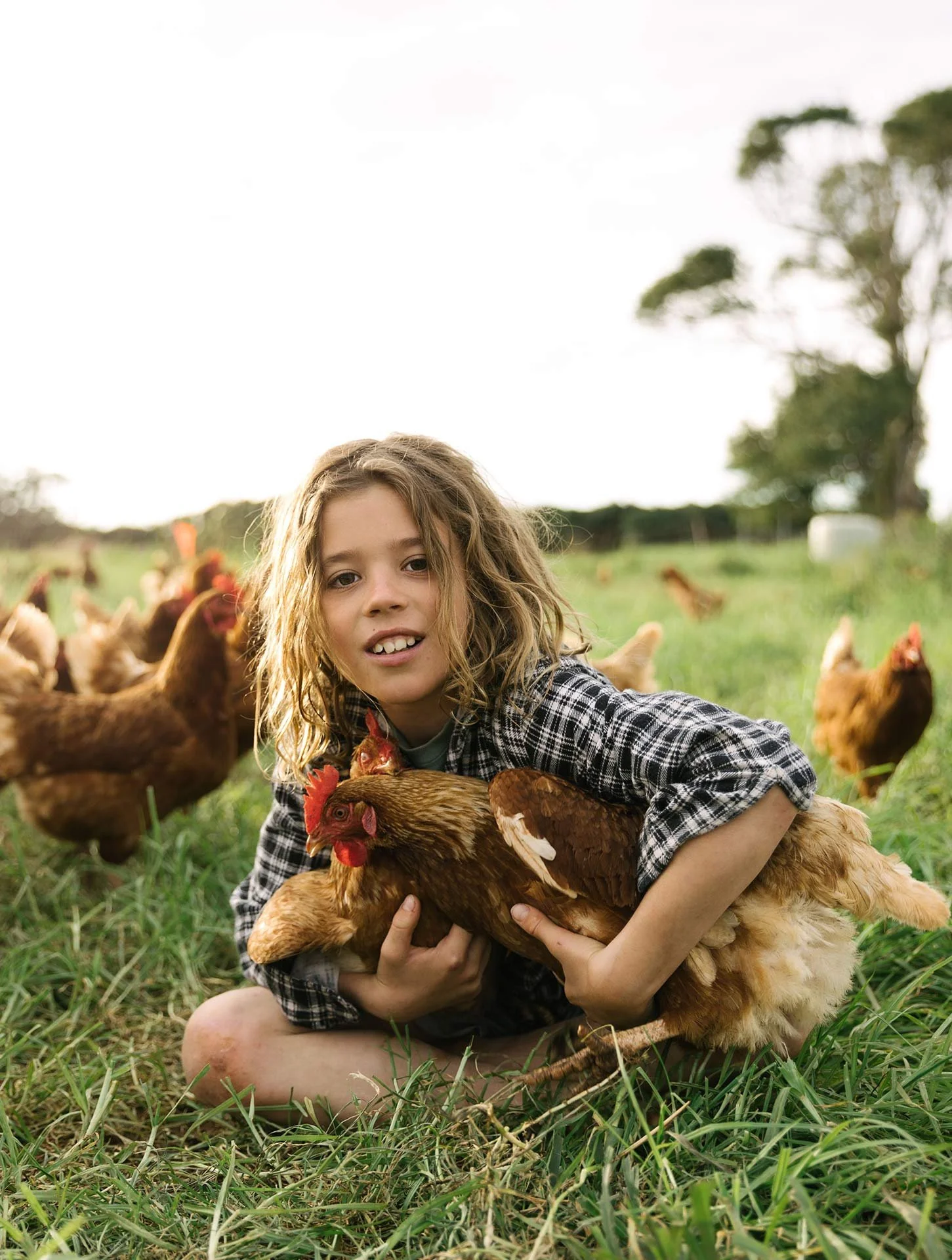 A young girl with long, curly blonde hair is sitting on green grass, holding several chickens and a rooster. Other chickens are gathering around her in a farm field with trees and a cloudy sky in the background.