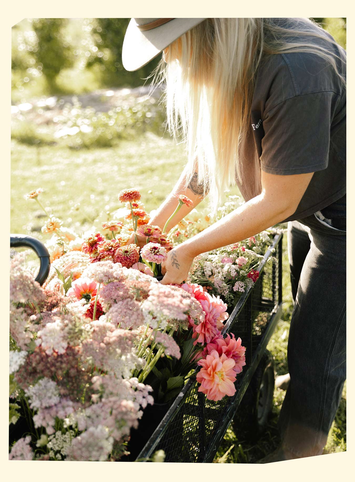 A person with long blonde hair and a hat arranging pink and white flowers on a cart outdoors, with sunlight and greenery in the background.