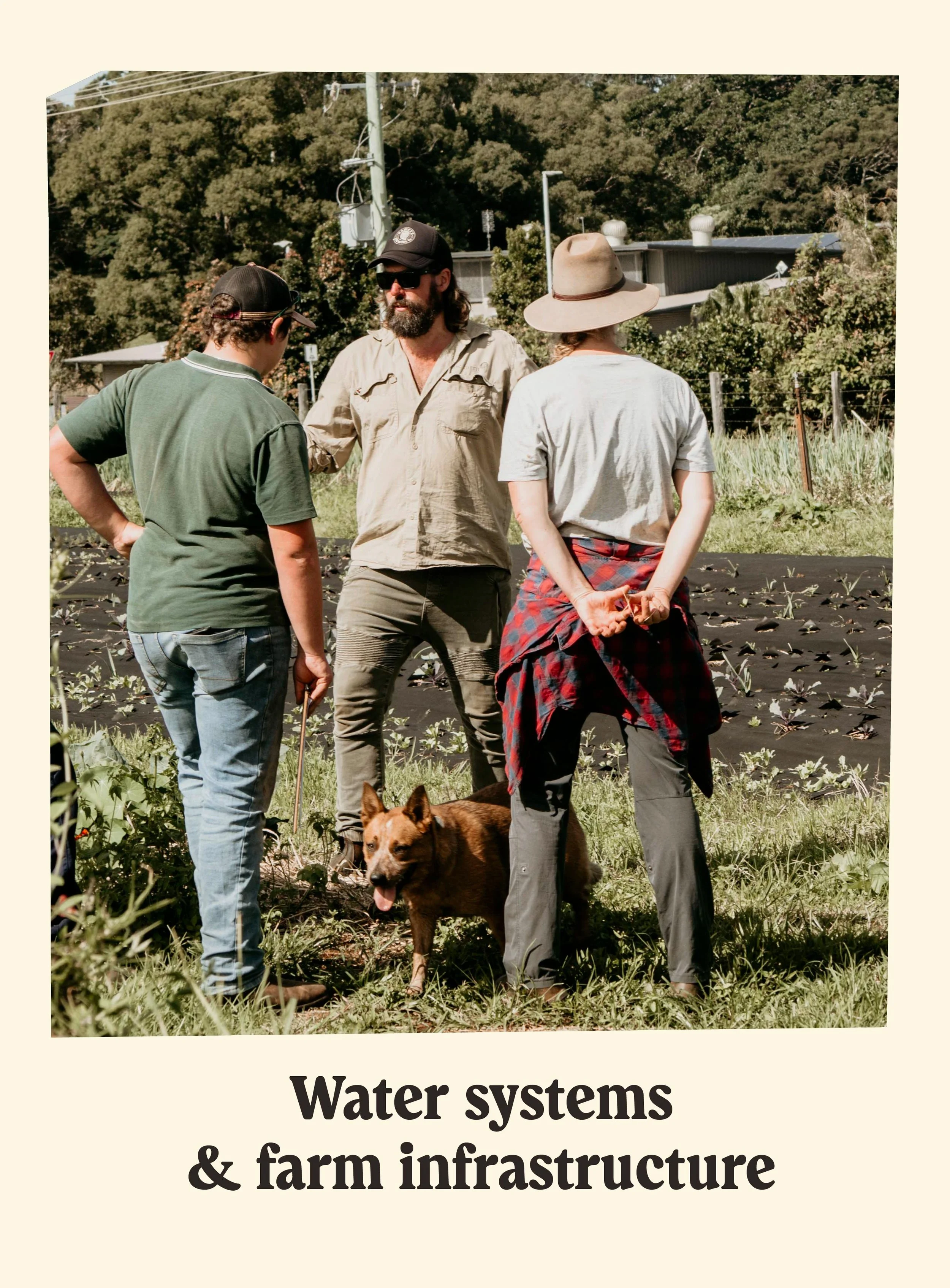 Three people and a dog in a garden with plants and trees. Two women and one man having a conversation. The woman on the right is wearing a wide-brimmed hat and plaid shirt tied at her waist. The man is wearing sunglasses and a cap. The woman on the left is wearing a baseball cap and green shirt. The dog is brown with black and white markings, standing in front of the woman on the right.