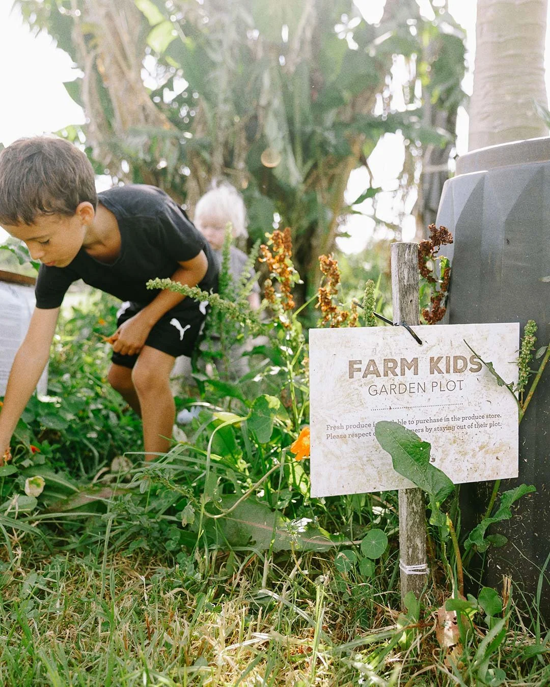 Children picking vegetables in a garden. There is a sign labeled 'Farm Kids Garden Plot' with instructions about purchasing produce and respecting the plot.