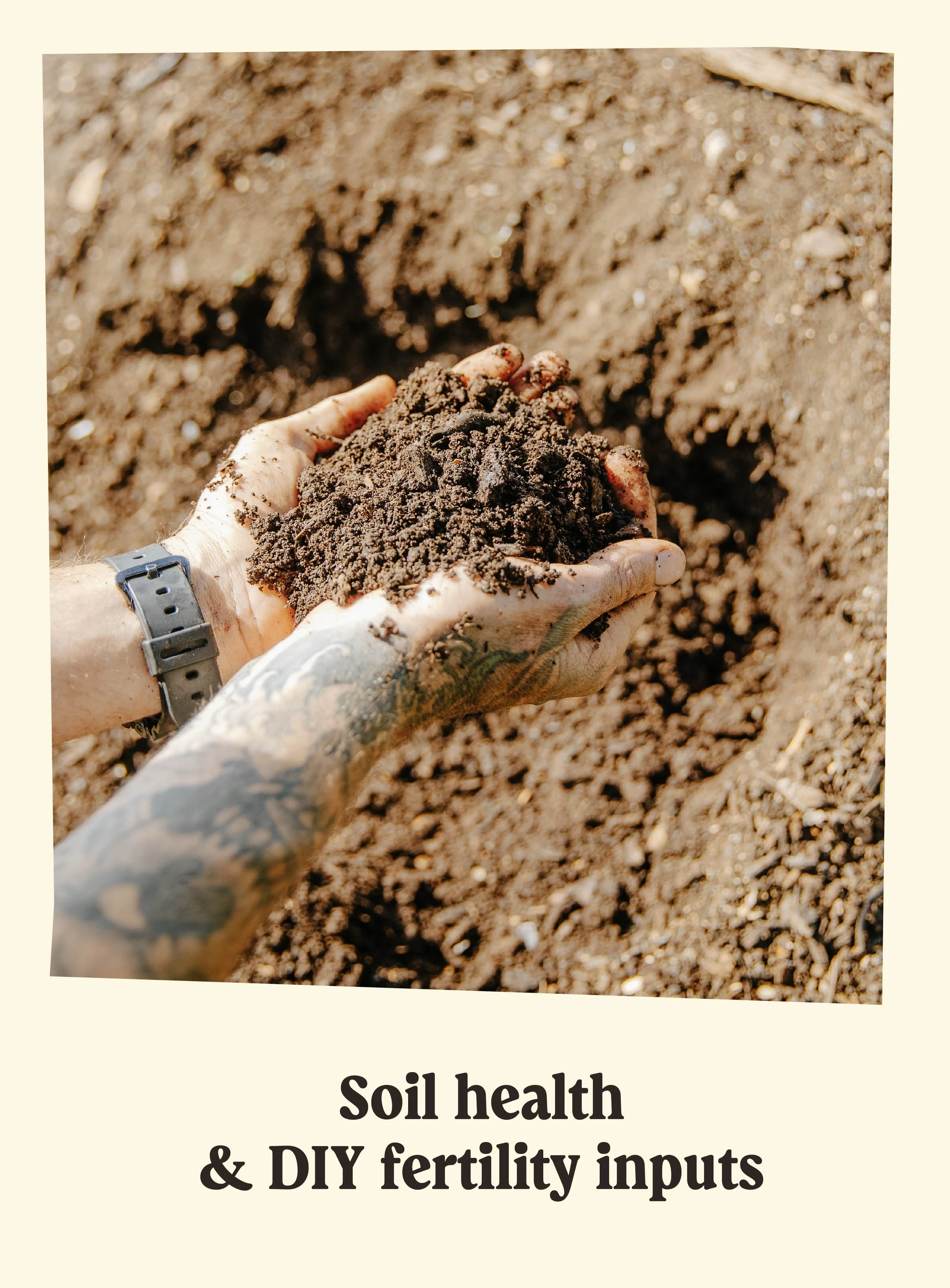 A person with a tattooed arm holds a handful of dark, rich soil, with more soil visible in the background.