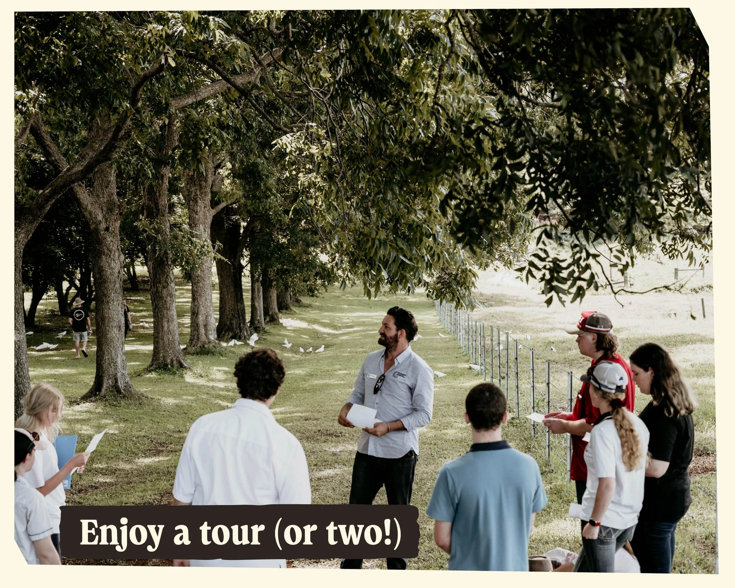 A group of people gathered outdoors in a park with large trees and green grass, participating in a tour or educational event. Some people are holding papers, and there is a man with a beard in a gray shirt speaking to the group. The scene is bright and sunny.