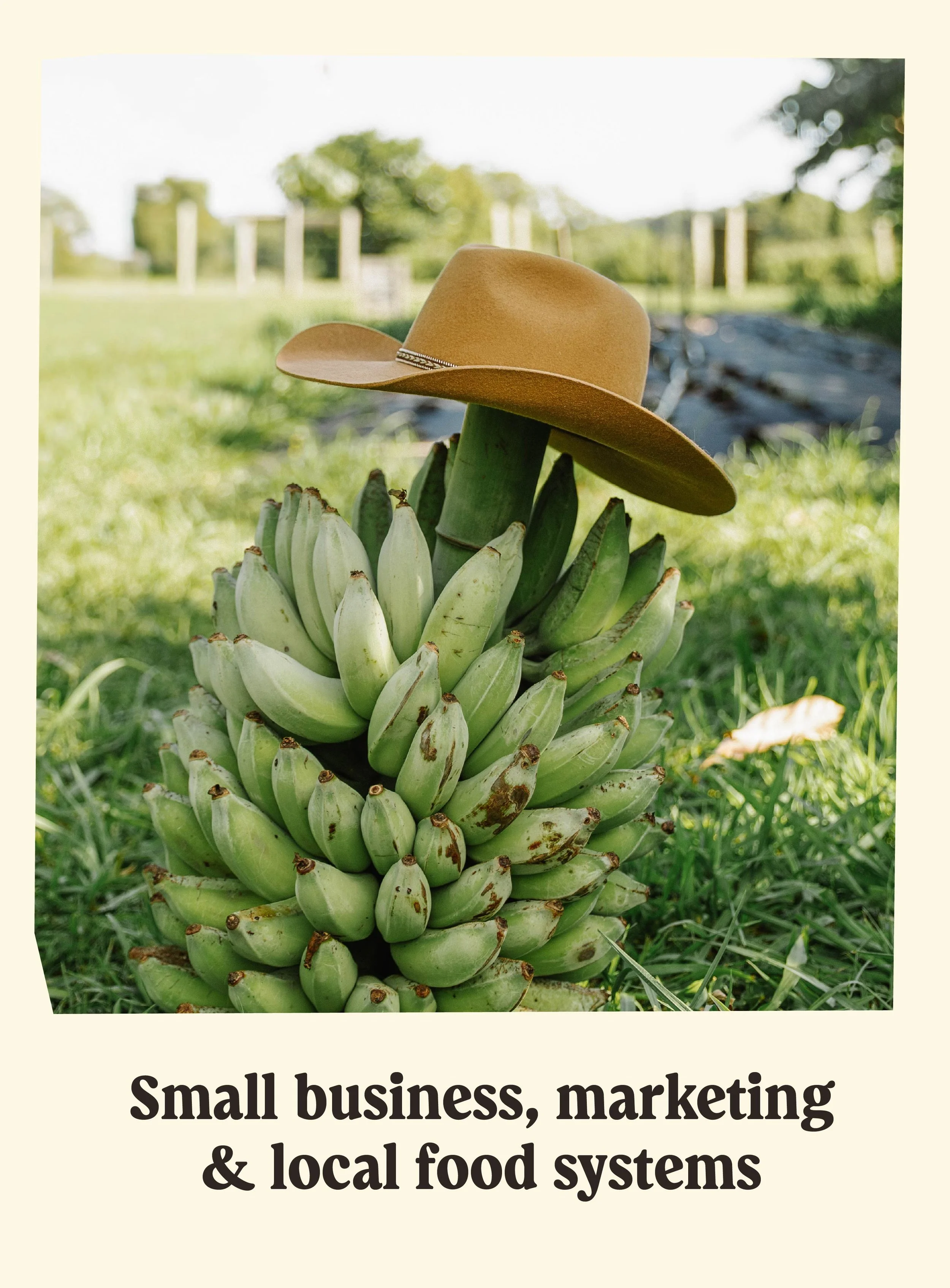A close-up of a bunch of green bananas with a tan cowboy hat resting on top, outdoors with a blurred background of trees and grass.