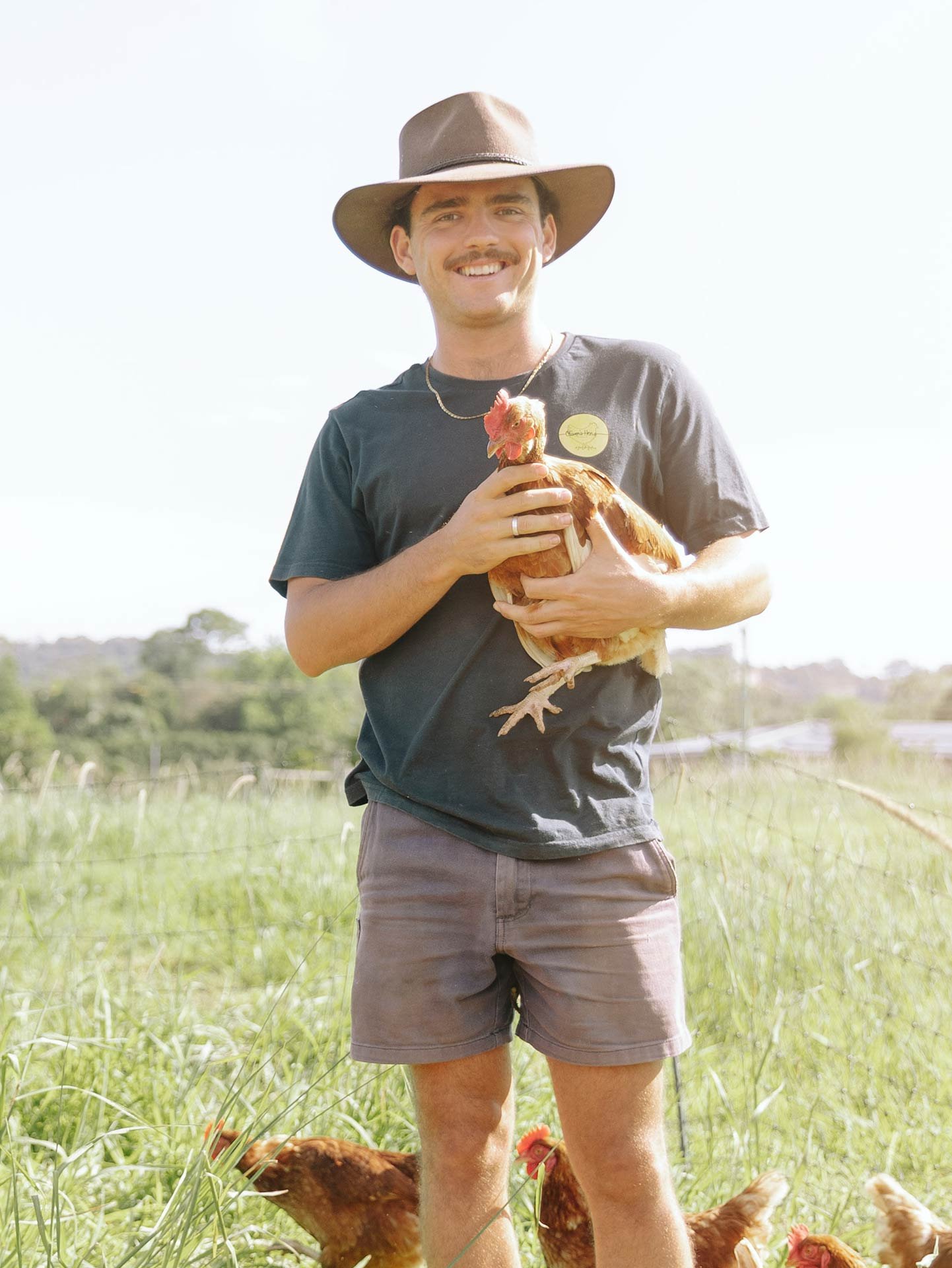 A man with a mustache wearing a cowboy hat and a black T-shirt holding a chicken outdoors in a grassy area with other chickens nearby, under bright daylight.