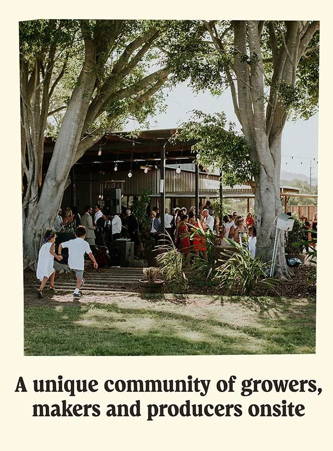 Outdoor community event with people socializing under large trees with string lights, some children playing, and a rustic building in the background.