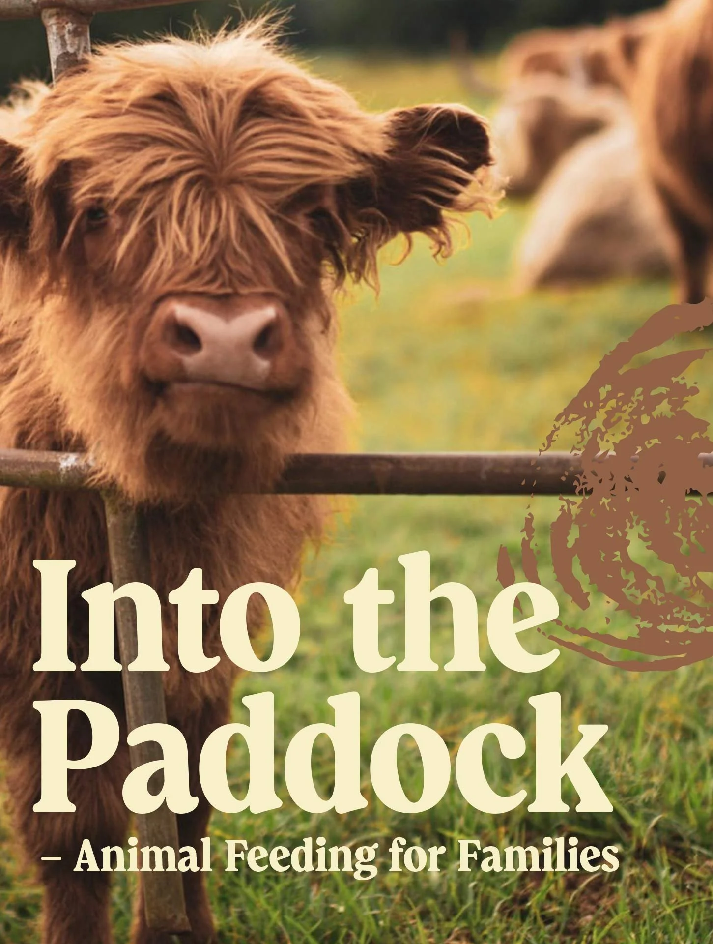 A close-up of a brown Highland cow with long hair, standing behind a wooden fence, with green grass and another cow blurred in the background.