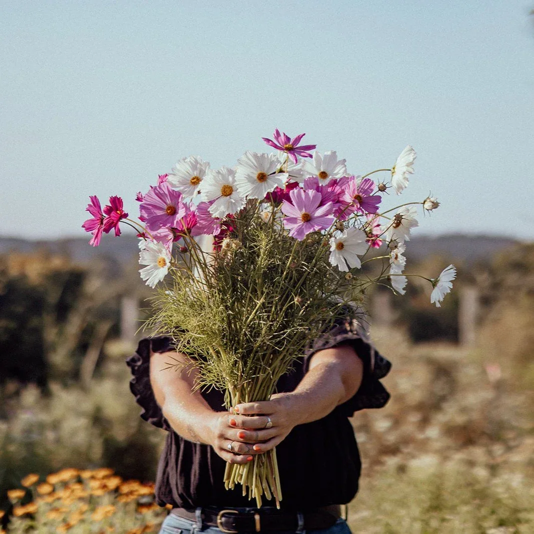 A person is holding a large bouquet of pink and white flowers. The person's face is not visible, and they are standing outdoors with a blurred natural background.