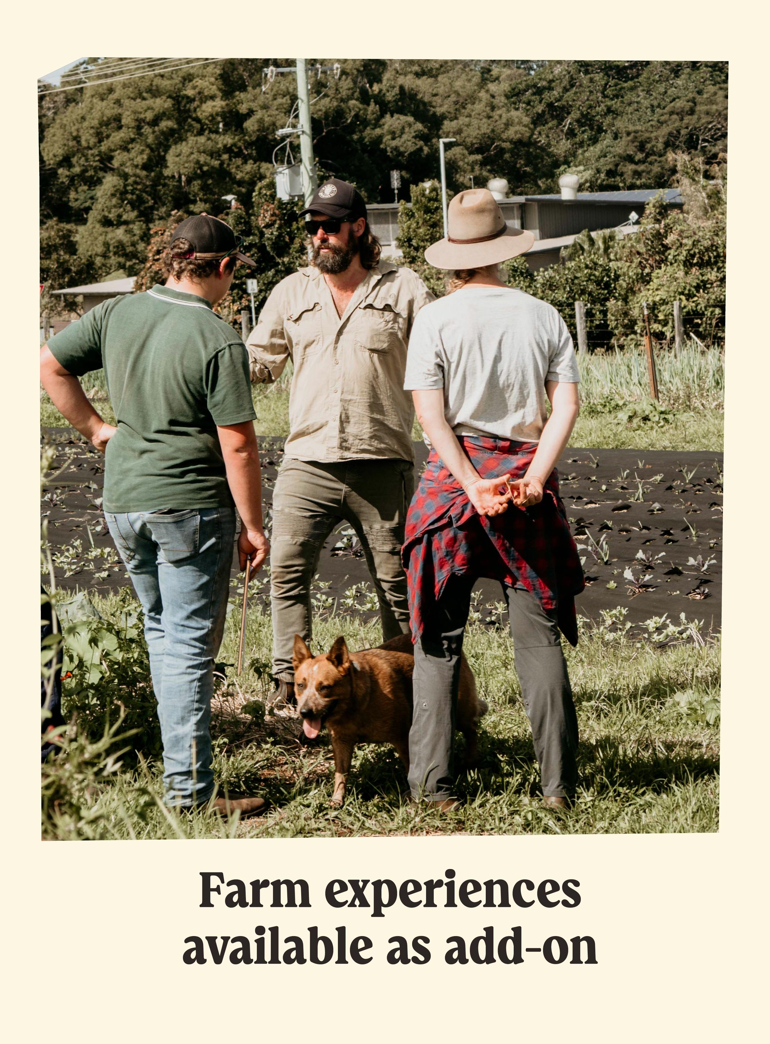 Three people talking outdoors on a farm, two men and a woman, with a dog in front of them, surrounded by greenery and farm equipment.