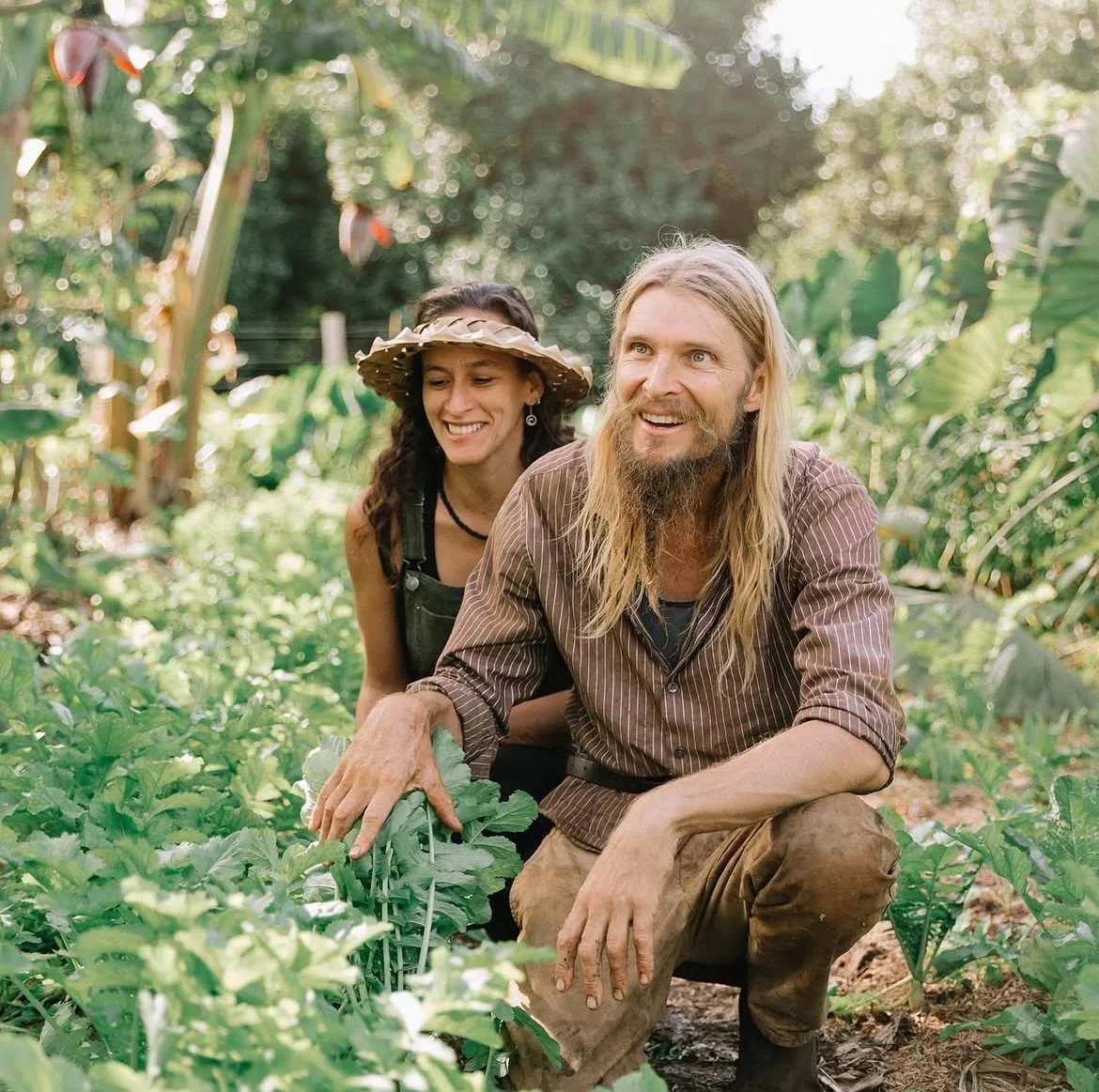 Two people, a man and a woman, working in a lush green garden, smiling and harvesting plants.