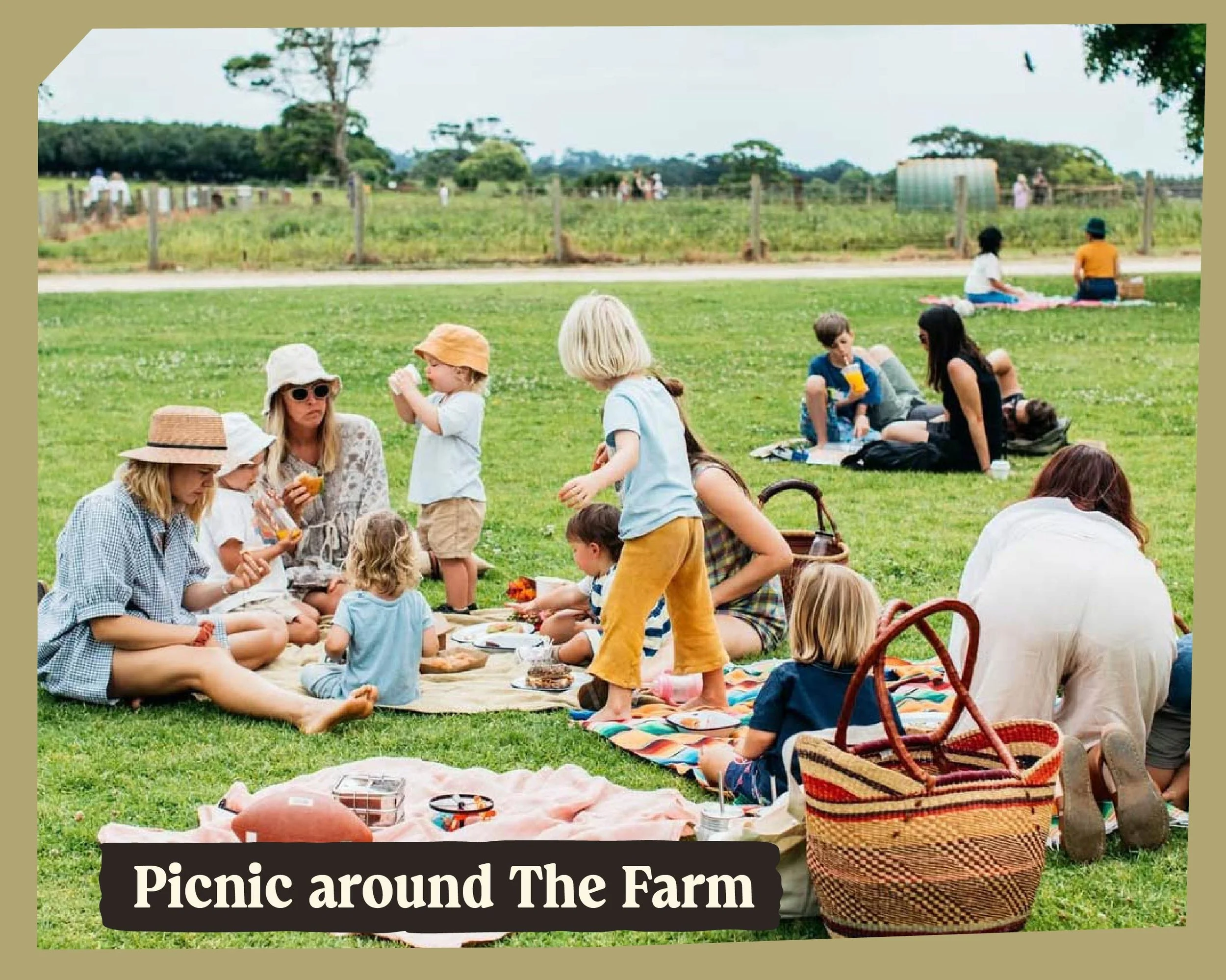 People having a picnic outdoors on a grassy field with trees and a farm fence in the background.