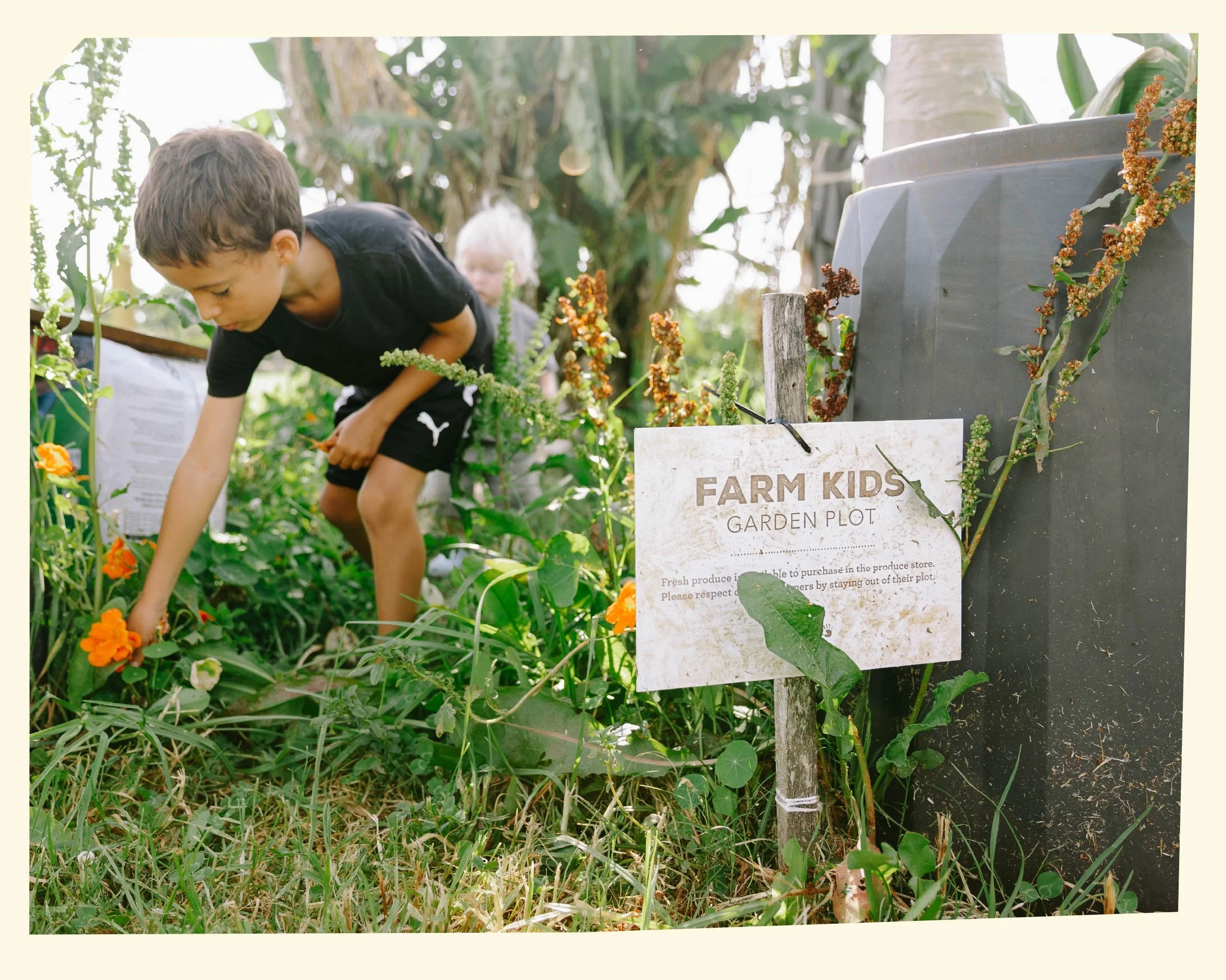 Children gardening in a farm garden plot with lush green plants and flowers, near a sign that reads 'FARM KIDS GARDEN PLOT'.