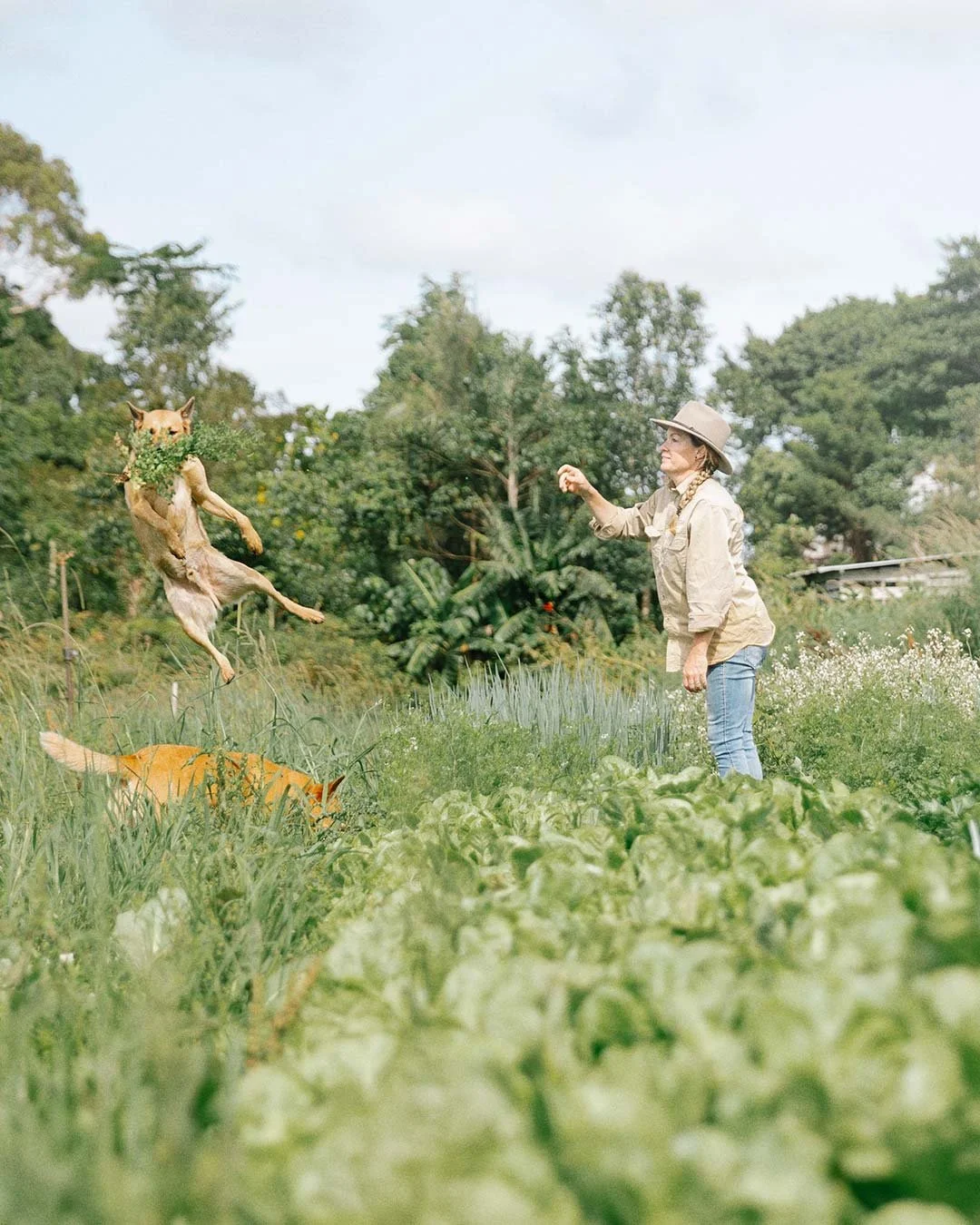 A woman in a hat and beige jacket playing fetch with a jumping dog in a lush green garden with trees and plants.
