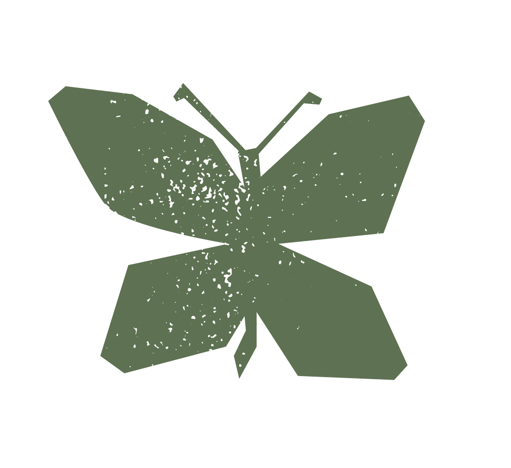 A digital illustration of a butterfly with green wings against a black background.