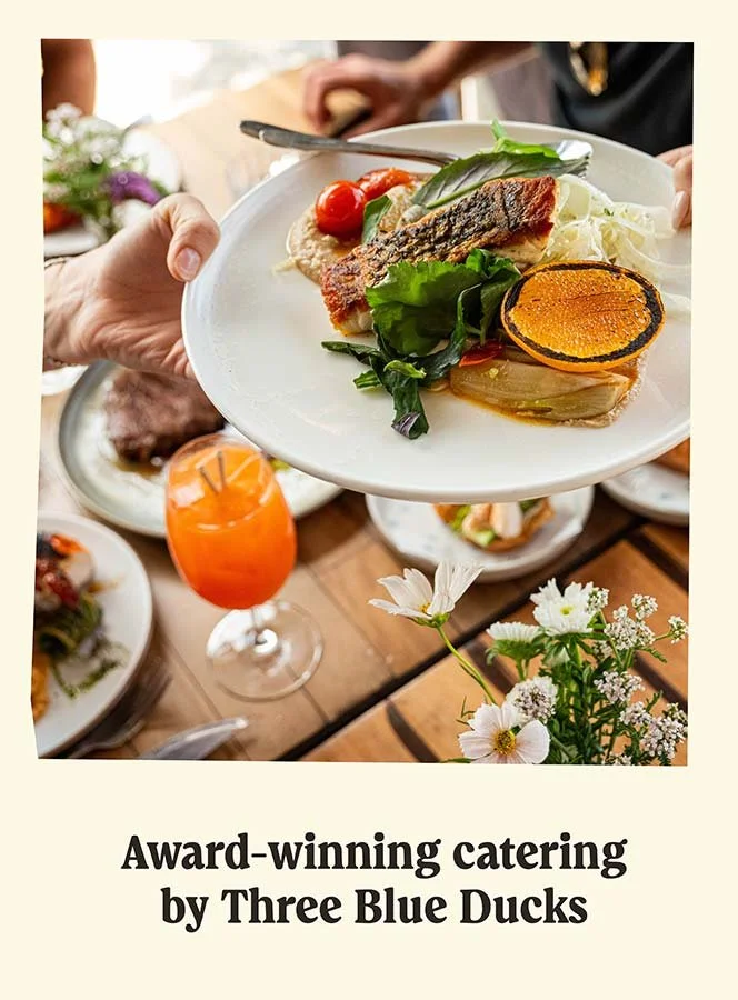 A person holding a white plate with grilled fish, cherry tomatoes, green leafy vegetables, and a grilled zucchini slice. In the background, there are more dishes, a flower arrangement, and a glass of orange drink on a wooden table.