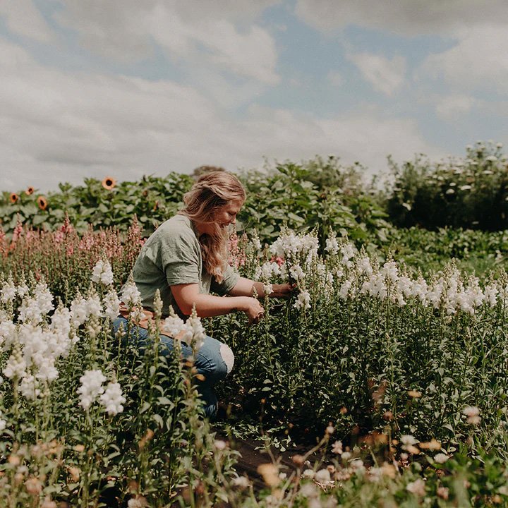 A woman picking flowers in a lush garden under a partly cloudy sky.