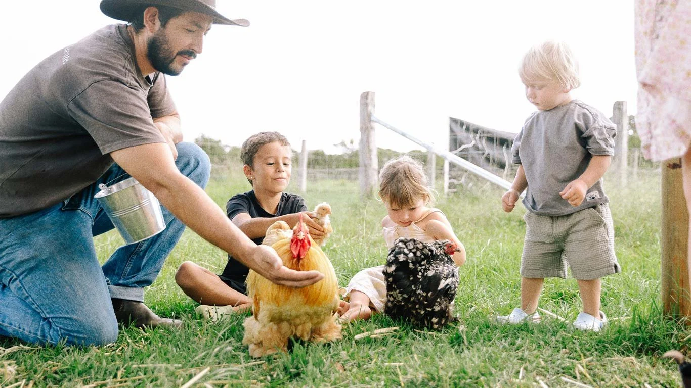A man with children on a farm holding a chicken and a turkey, with grass and farm fencing in the background.