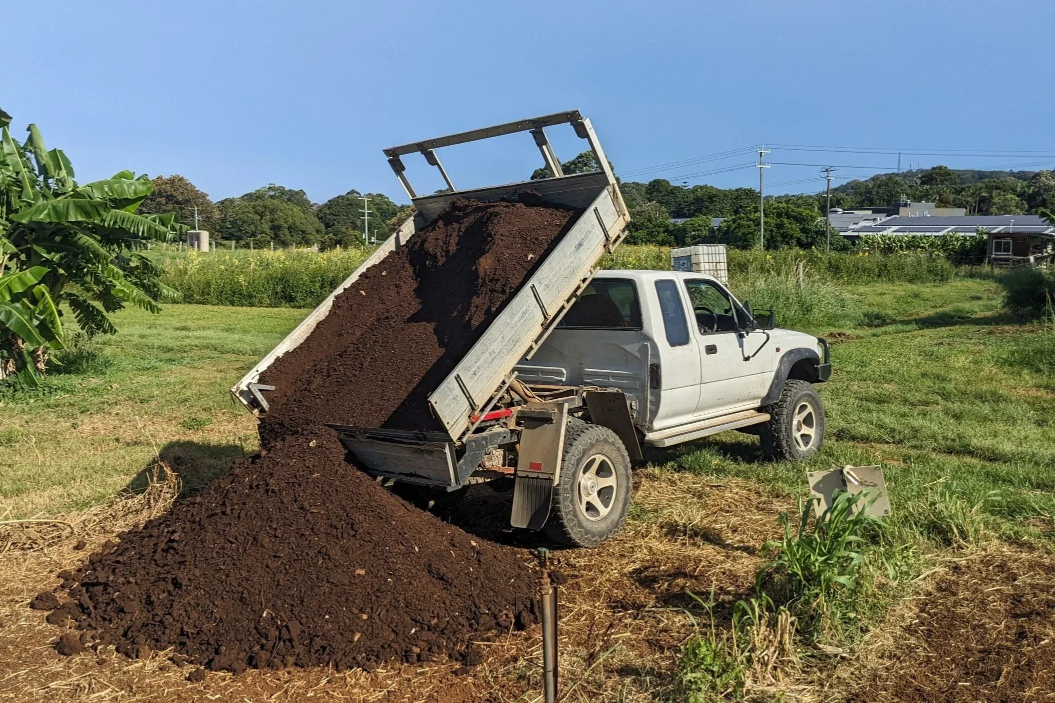 A white pickup truck dumping dark brown soil in a rural field with green plants, trees, and buildings in the background under a clear blue sky.