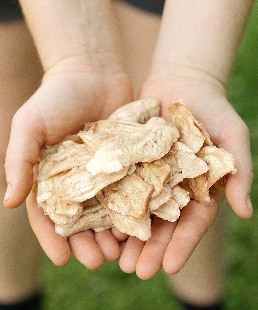 A person holding a handful of dried, sliced bananas outdoors.