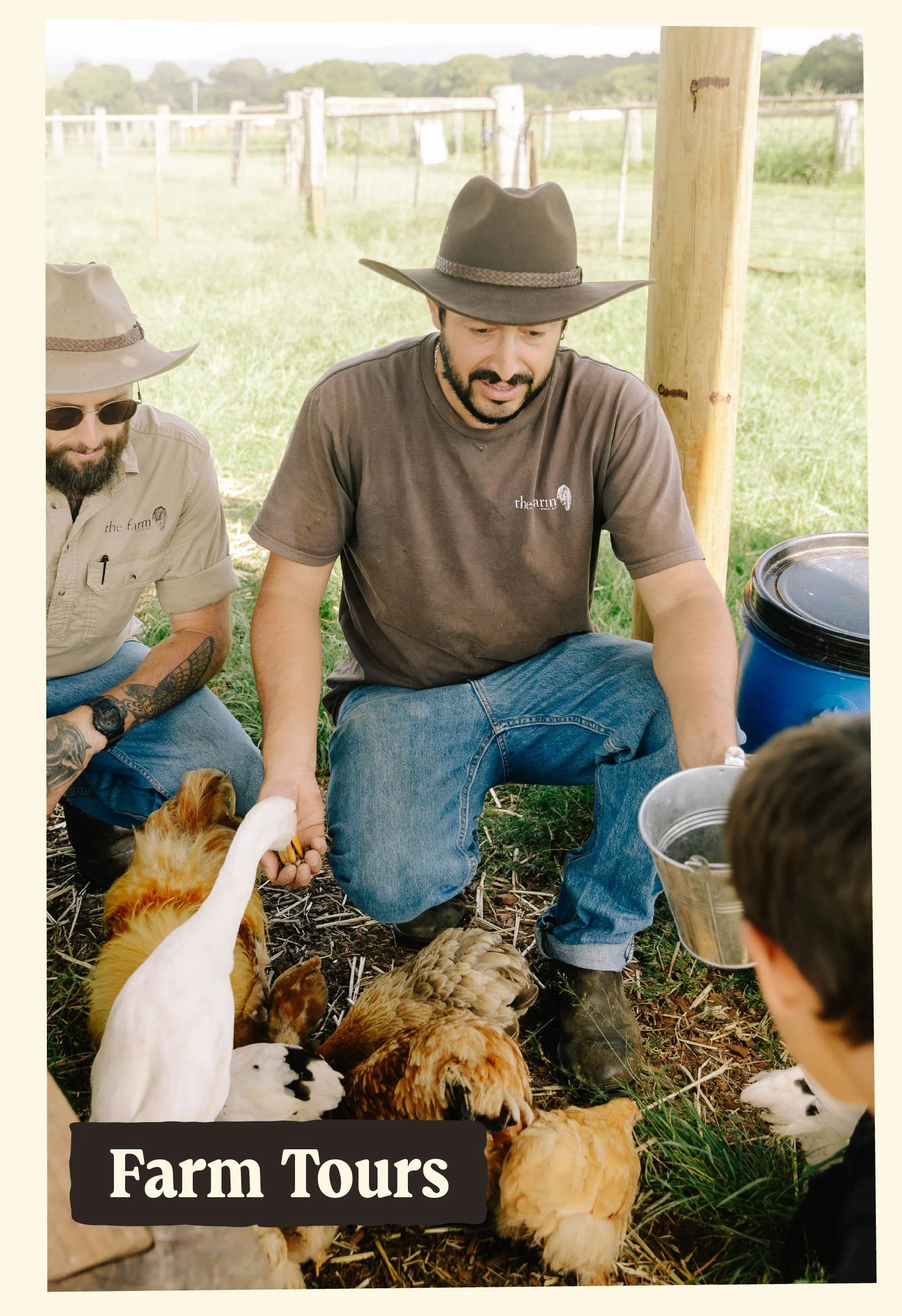 People participating in a farm tour, surrounded by chickens and roosters outdoors.