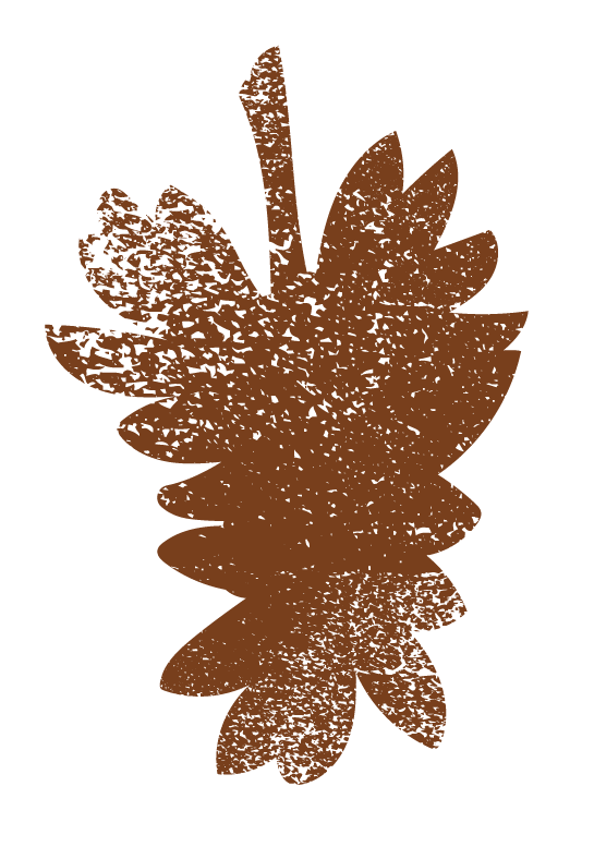 A silhouette of a pine cone and pine needles in brown.