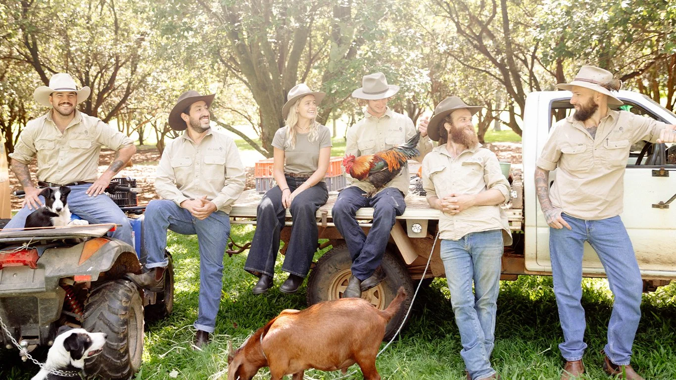 Group of six people sitting and standing next to a pickup truck and an ATV in a park with trees, some wearing hats, and dogs and a chicken nearby.