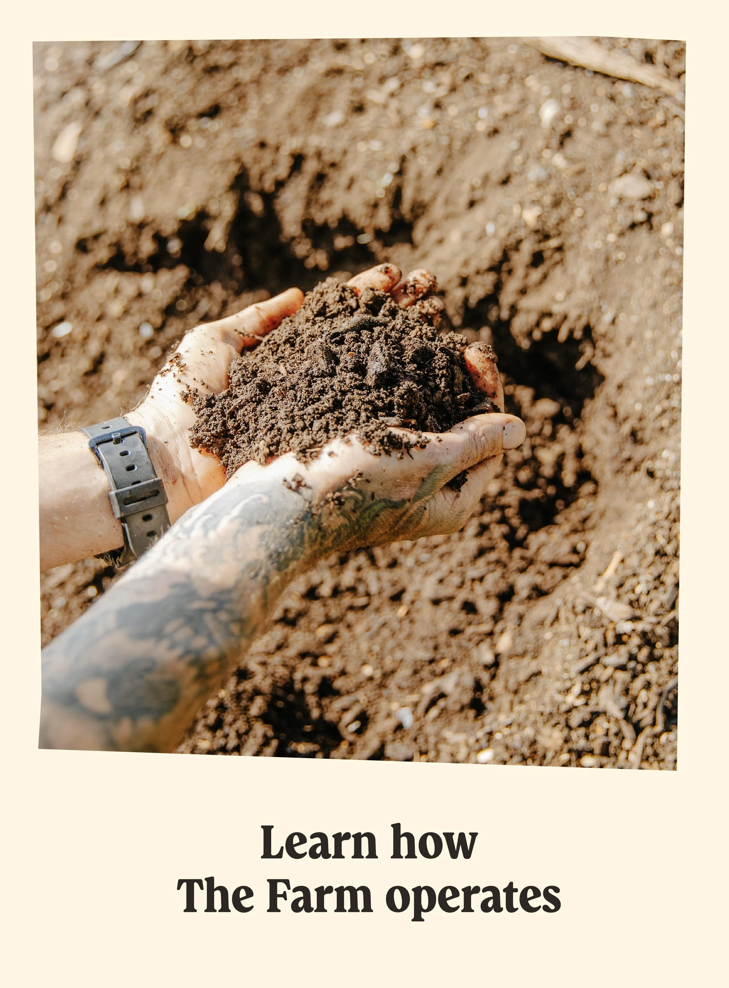 Close-up of a person's hand holding freshly turned soil on a farm, with more soil in the background. The person is wearing a wristwatch and has a tattooed arm.