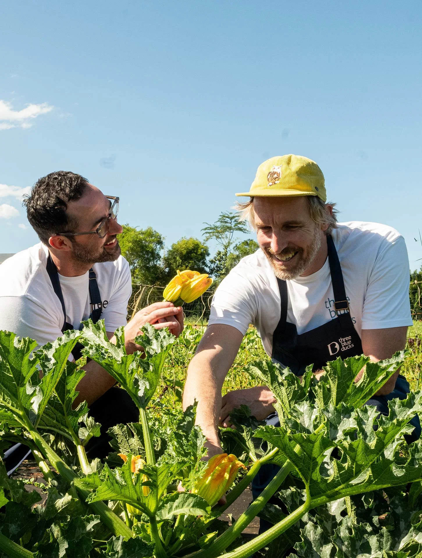 Two men working in a garden among green leafy plants, one is handing a yellow flower to the other, both smiling, outdoors on a sunny day.