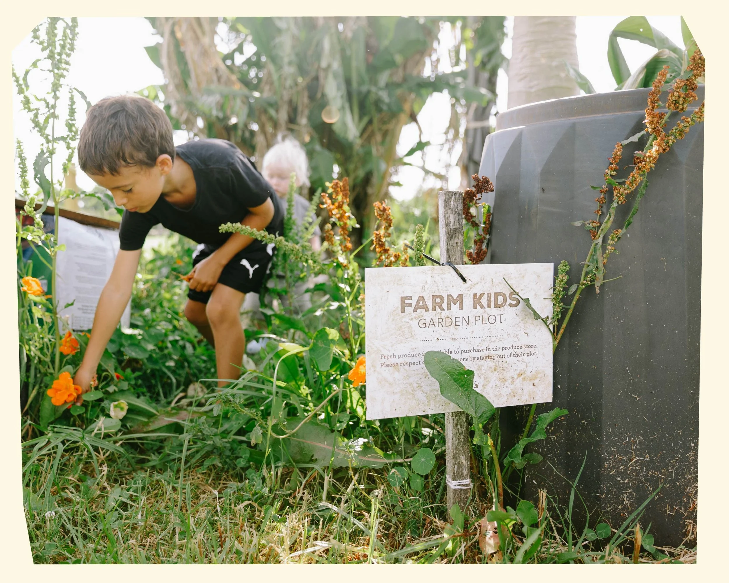 Children working in a garden plot with a sign that reads 'Farm Kids Garden Plot' amid green plants and orange flowers, with trees in the background.