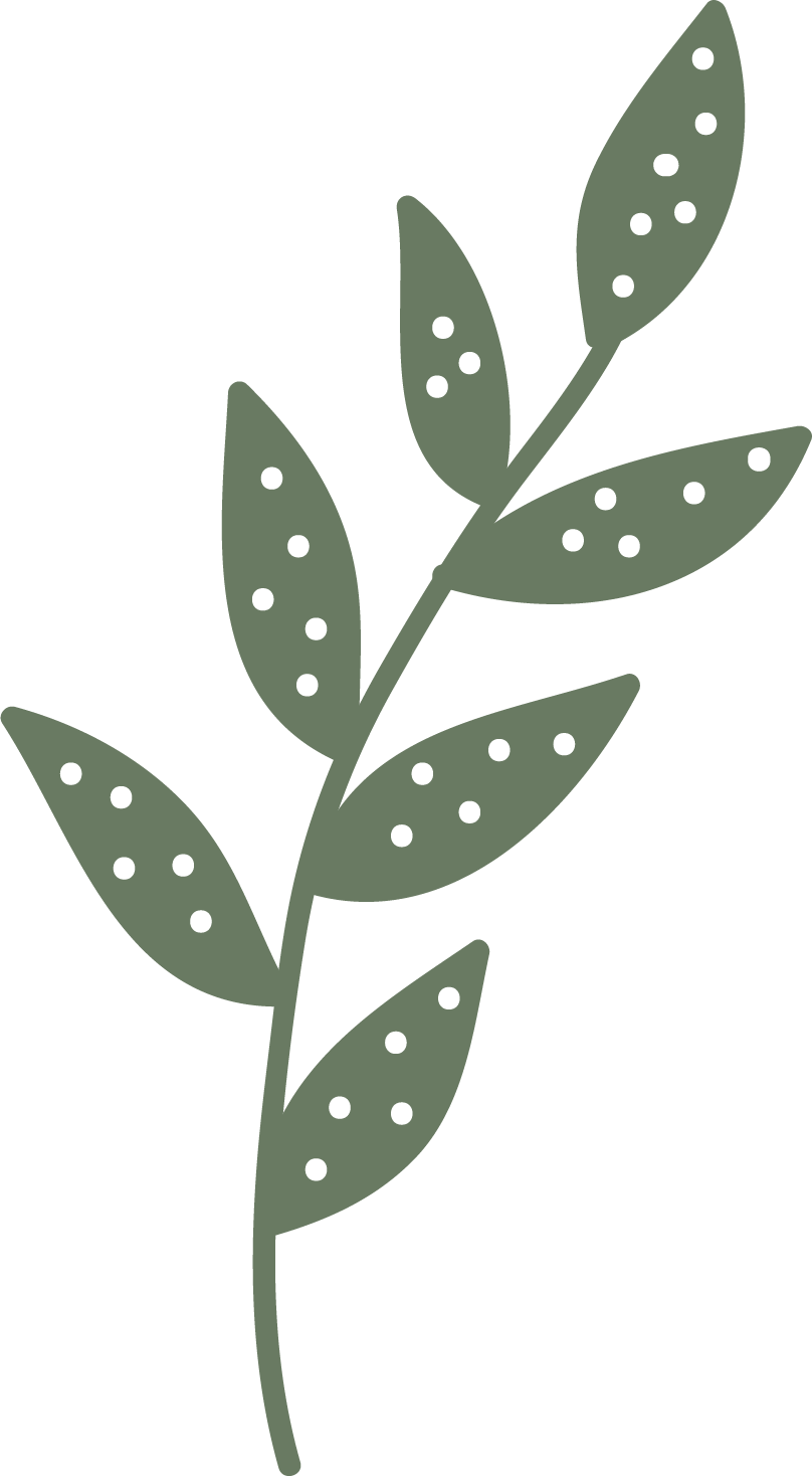 A simple illustration of a green plant with oval leaves decorated with white dots.