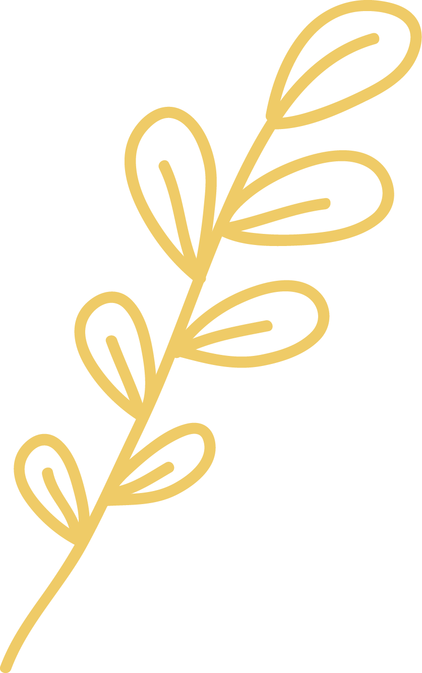 Gold line illustration of a leafy branch with oval-shaped leaves on a black background.
