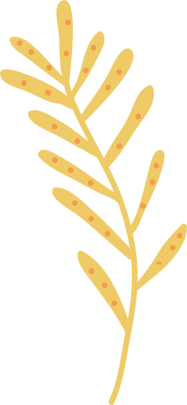 A digital illustration of a yellow fern leaf with orange dots on each leaflet.