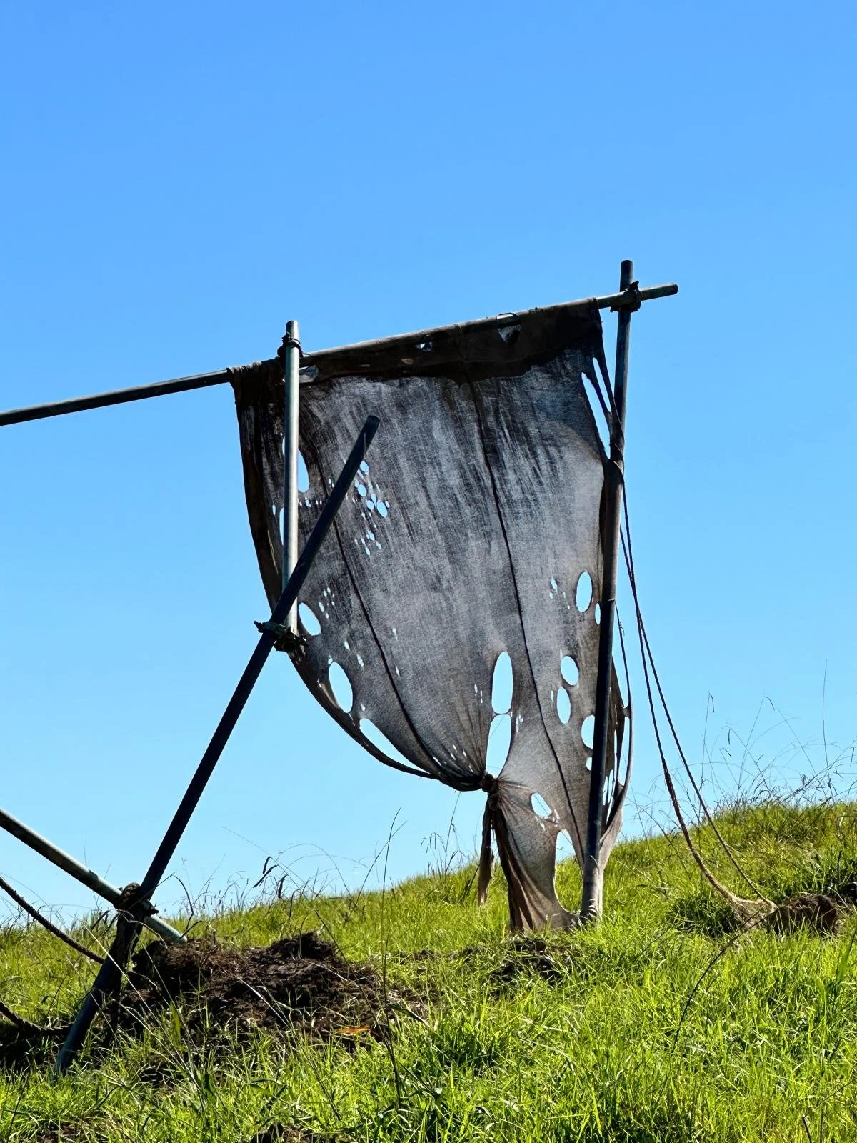 Sunlit grassy hill with a weathered, torn piece of fabric hanging on a metal frame against a clear blue sky.