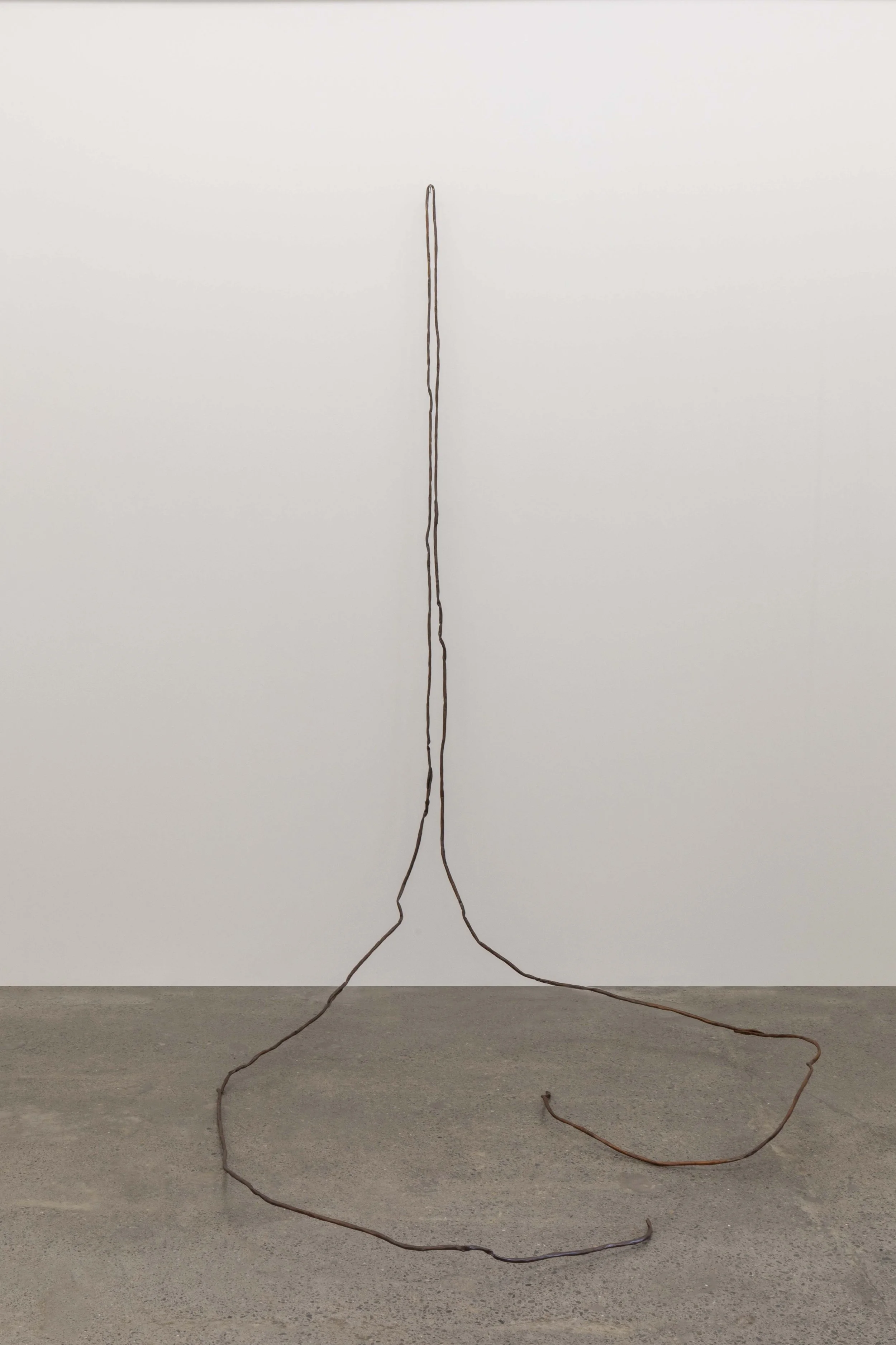 An art installation features a long, thin, flexible brown stick arranged on the floor with a looped and curved shape, leaning against a plain white wall.