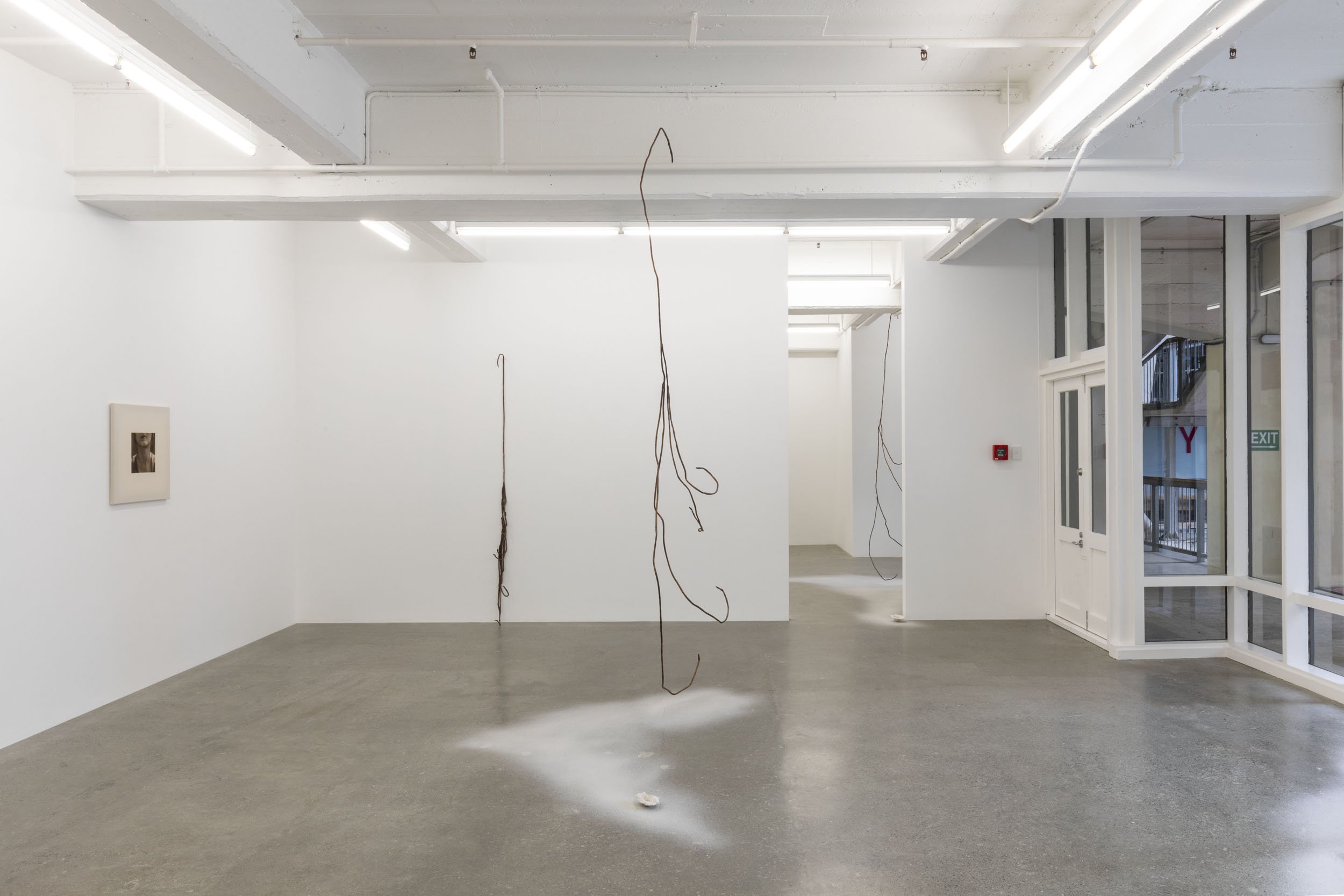 Modern art gallery with white walls and polished concrete floors; hanging abstract wire sculpture suspended from ceiling; framed photograph on left wall; glass entrance door on right with exit sign.
