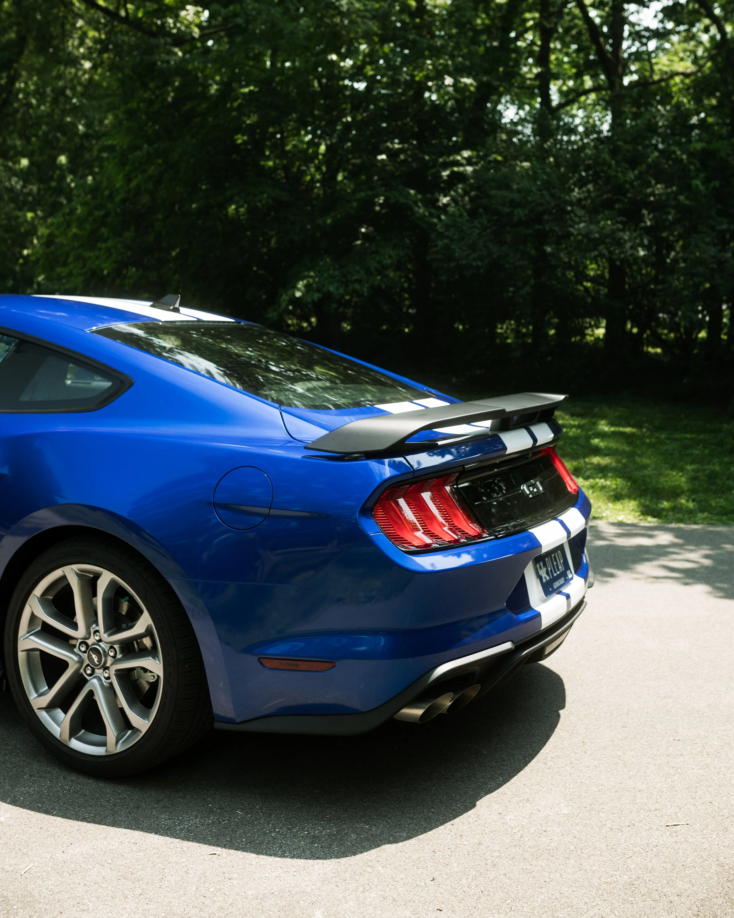 photo jun 04 2023, 2 36 24 pm.JPG