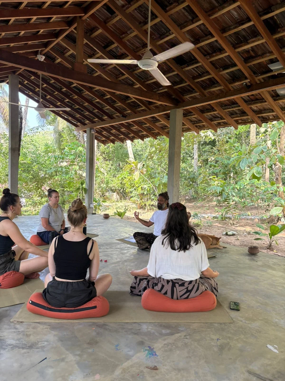 Introduction To Ayurveda Workshop with Sala at Arise 