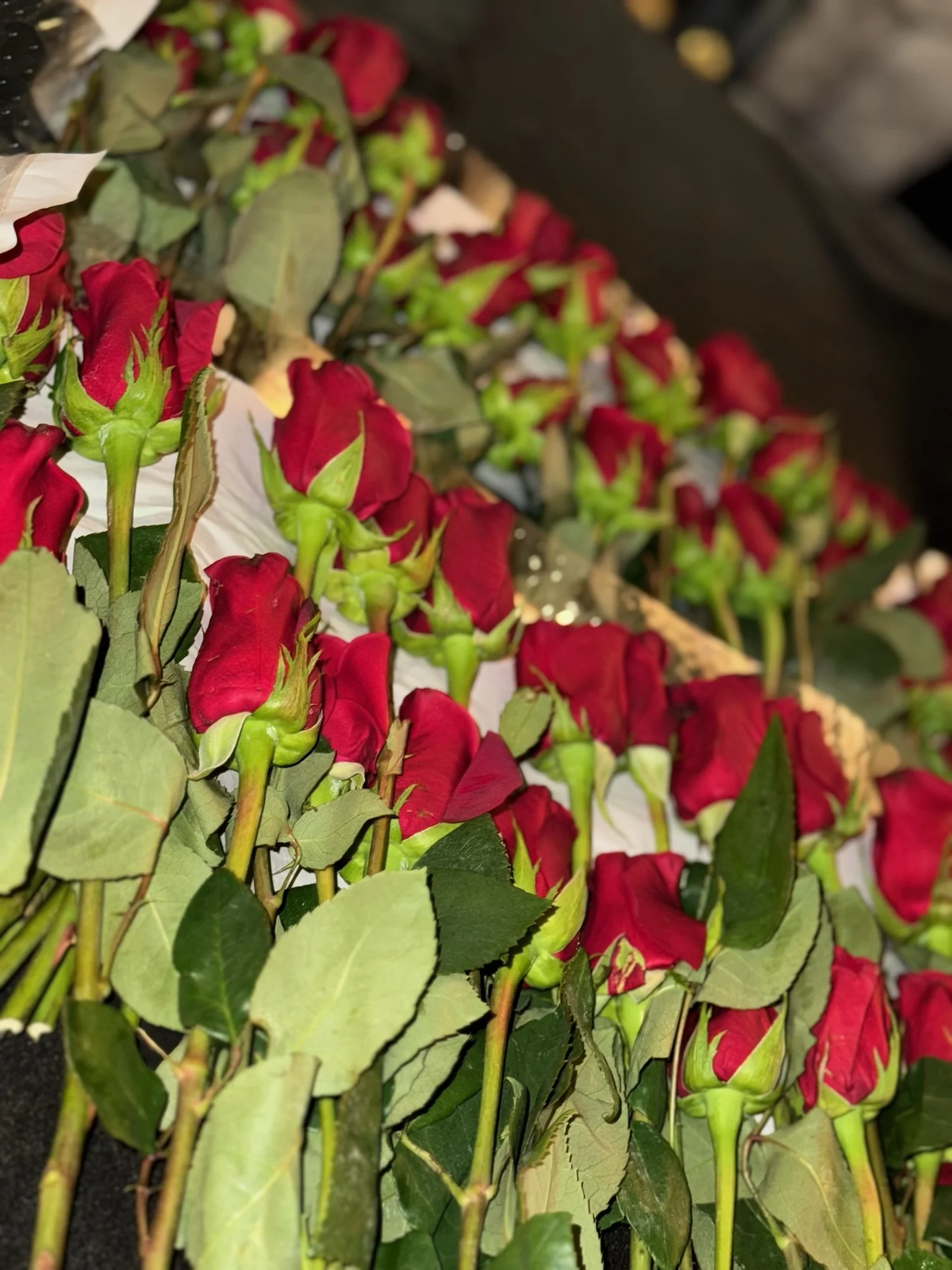 50-Stem Red Roses 