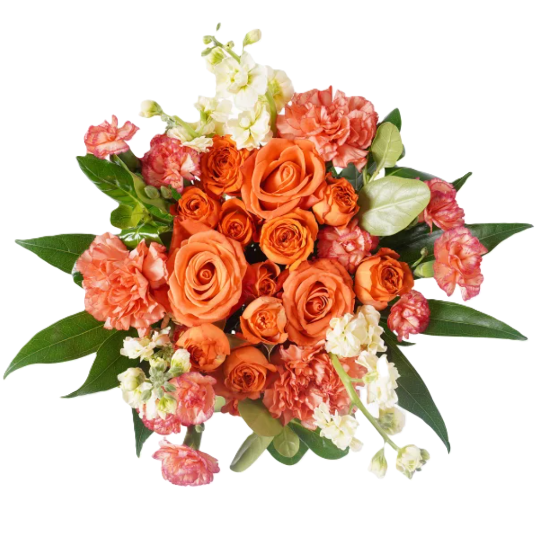 Mnt Boq Red-Orange 3.png