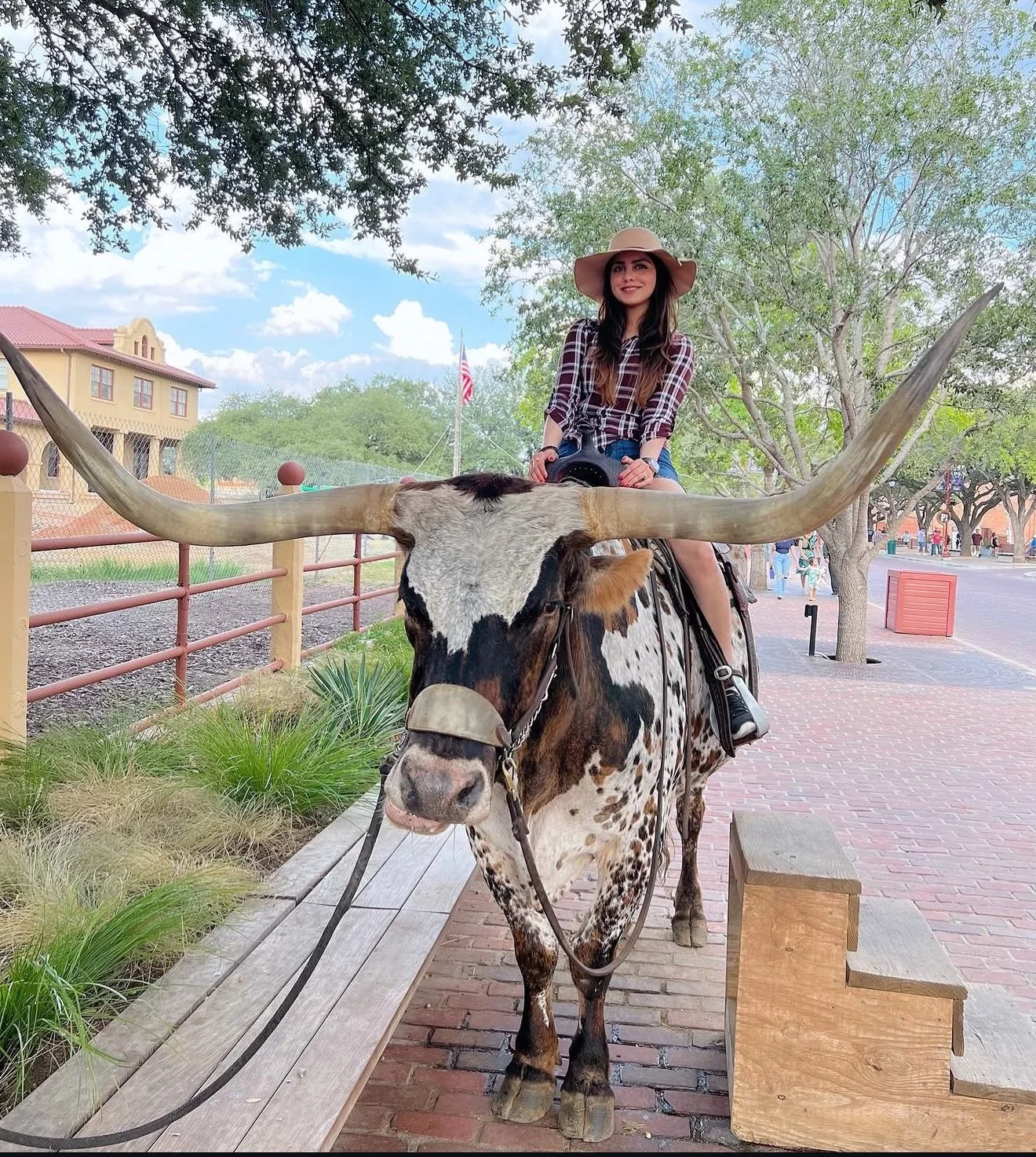 4 years later and this longhorn got even more famous with Diljit 🤠

#tb2022 #diljeetdosanjh #texas #fortworthstockyards #punjabi @teamdiljitglobal @diljitdosanjh