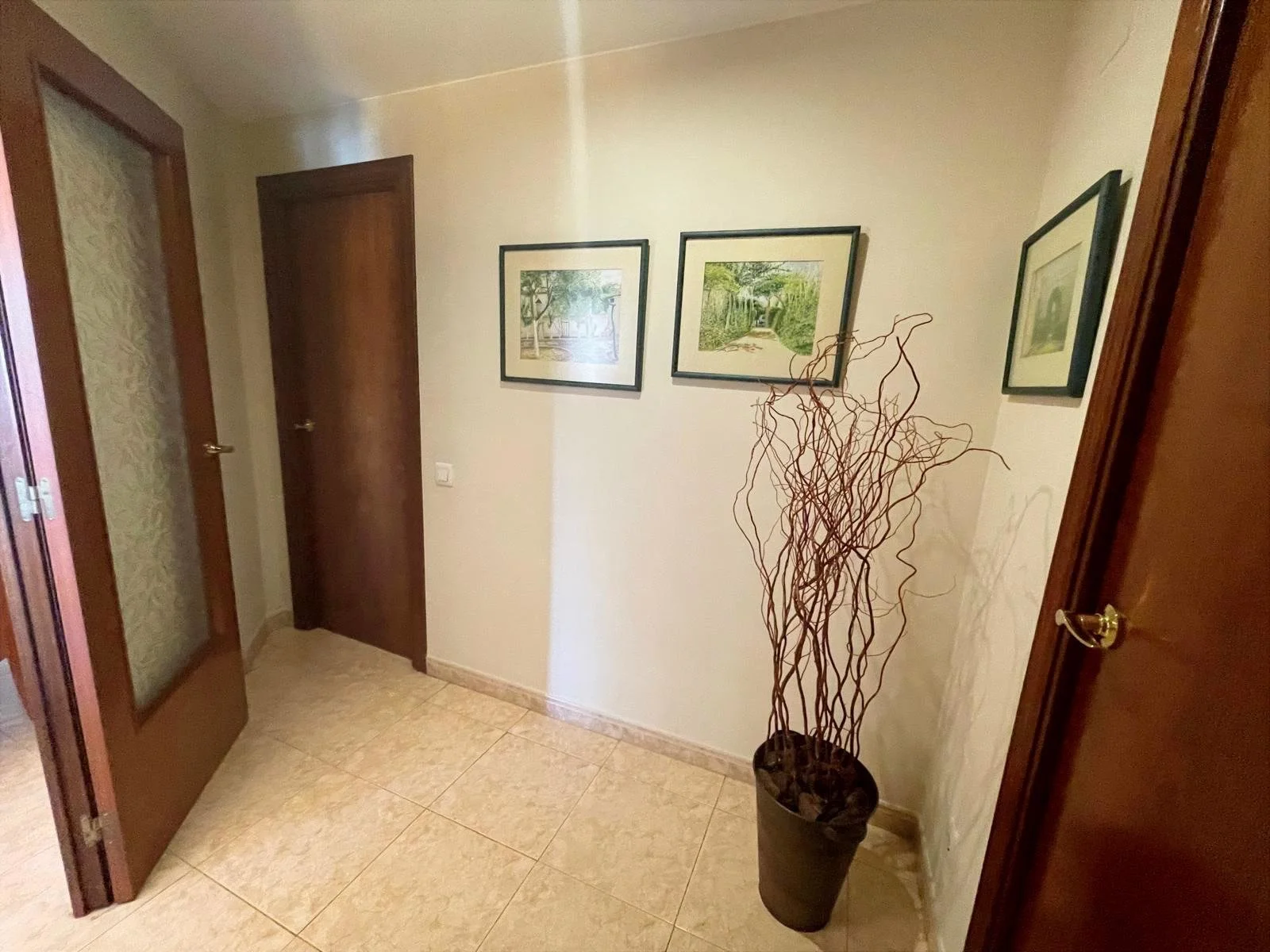 Pasillo con paredes blancas, con tres cuadros enmarcados de paisajes naturales y una planta decorativa de ramas secas en una maceta negra.