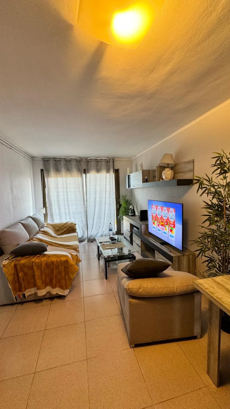 Sala de estar con sofá cubierto con manta, mesa de centro de vidrio, TV en mueble de madera, cortinas blancas, lámpara en estante, plantas verdes y paredes blancas.