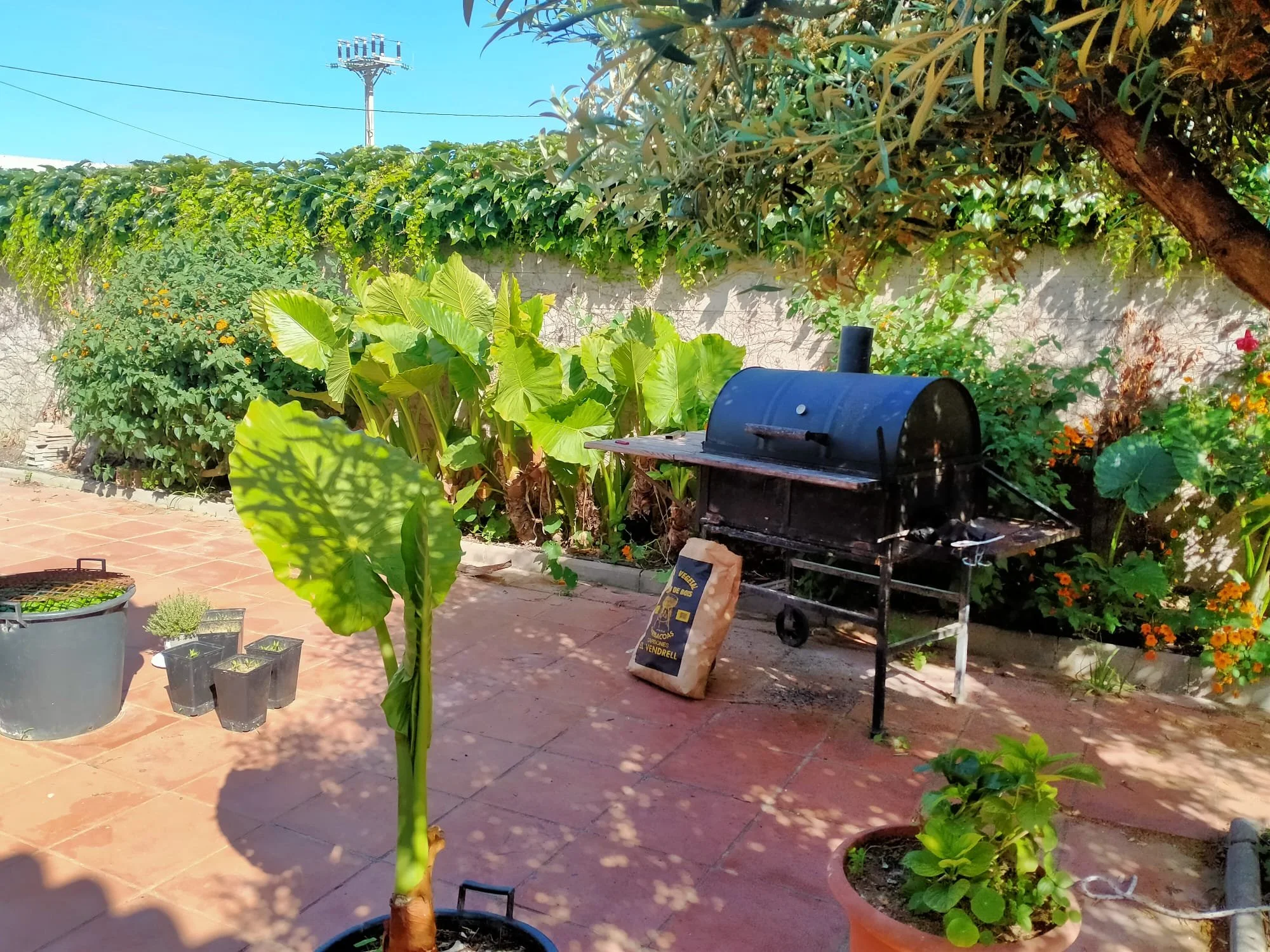 Un jardín en la parcela en Mataró, casas en Barcelona, venta casas.
