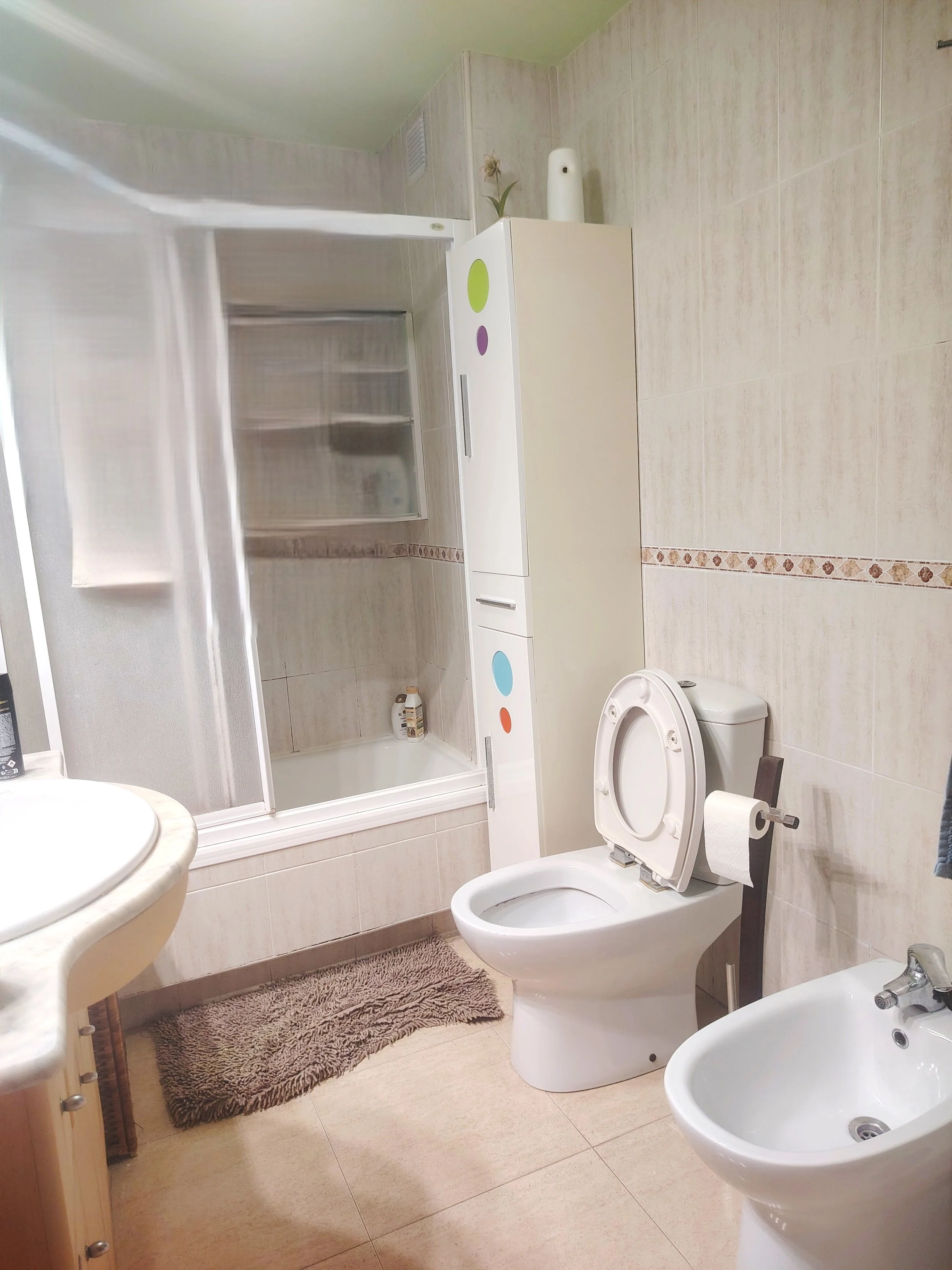 Baño con ducha, lavabo, inodoro y bidé. Alfombra de baño marrón y decoración minimalista.
