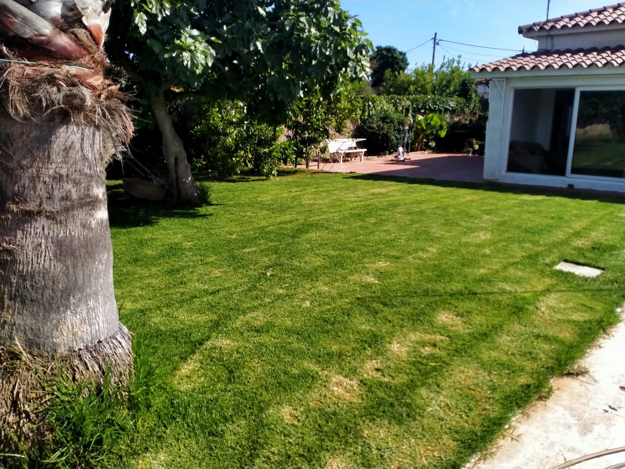 Jardín en la parcela grande, casa rustica en Barcelona.