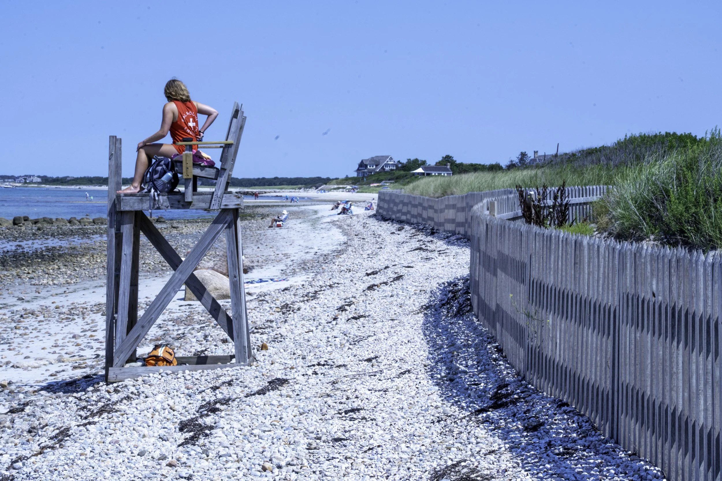 Woodneck Beach and Sippewissett Marsh