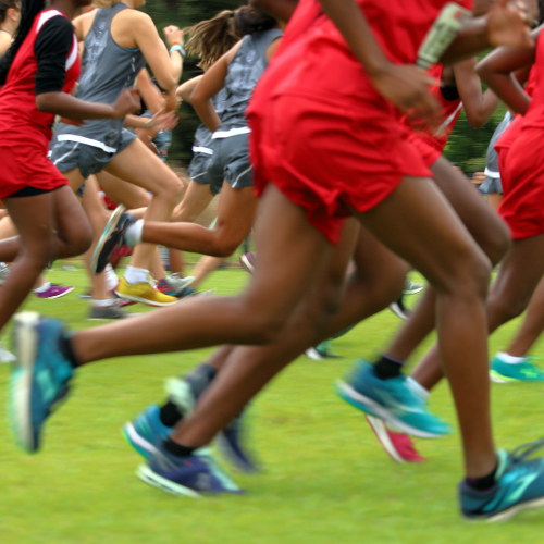 Girls Cross Country