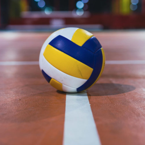 Volleyball