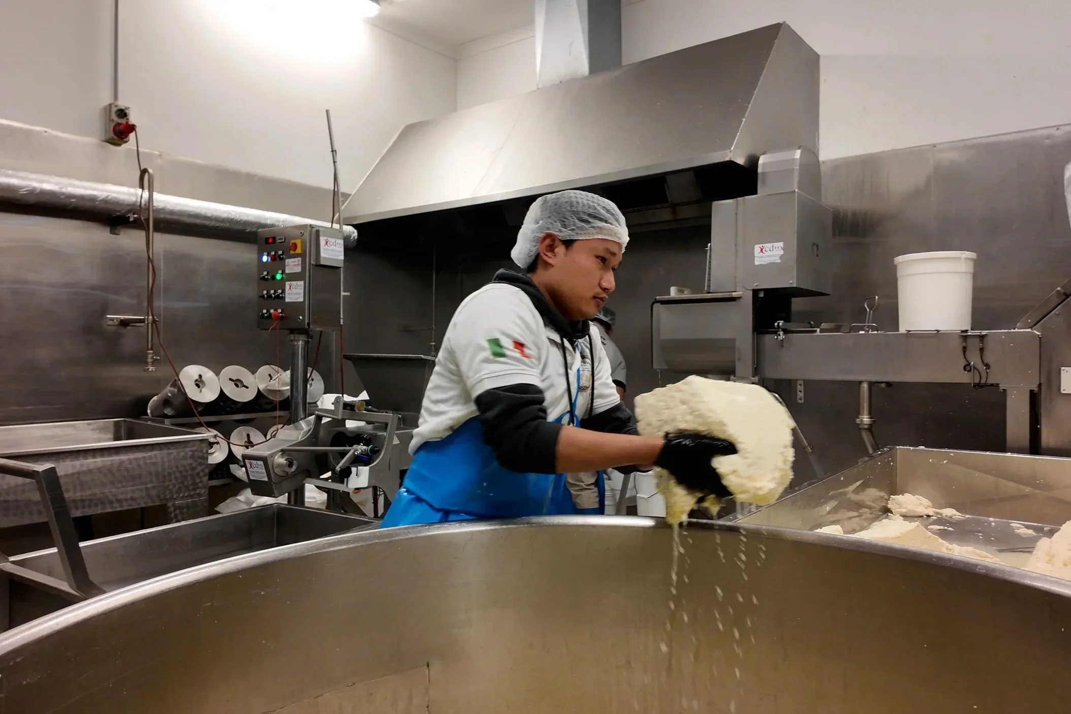 A worker in a commercial kitchen wearing a hairnet, gloves, and a white shirt with Italian flag patch, handling large blocks of cheese during cheese production process.