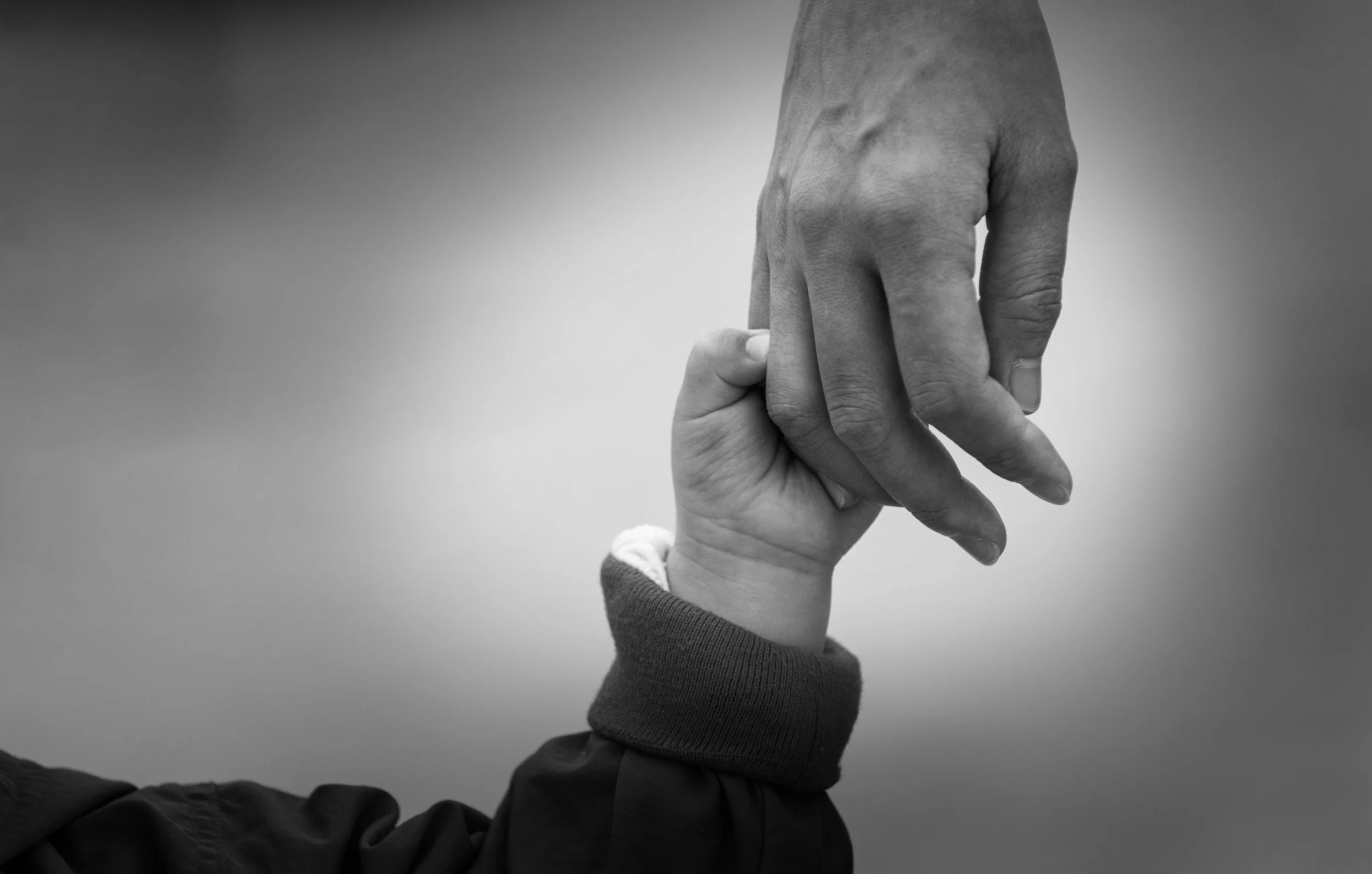 a small child holding an adults hand