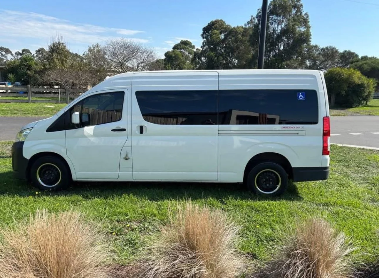 White wheelchair accessible van parked on grass beside a road, with a blue handicapped sticker on the window.